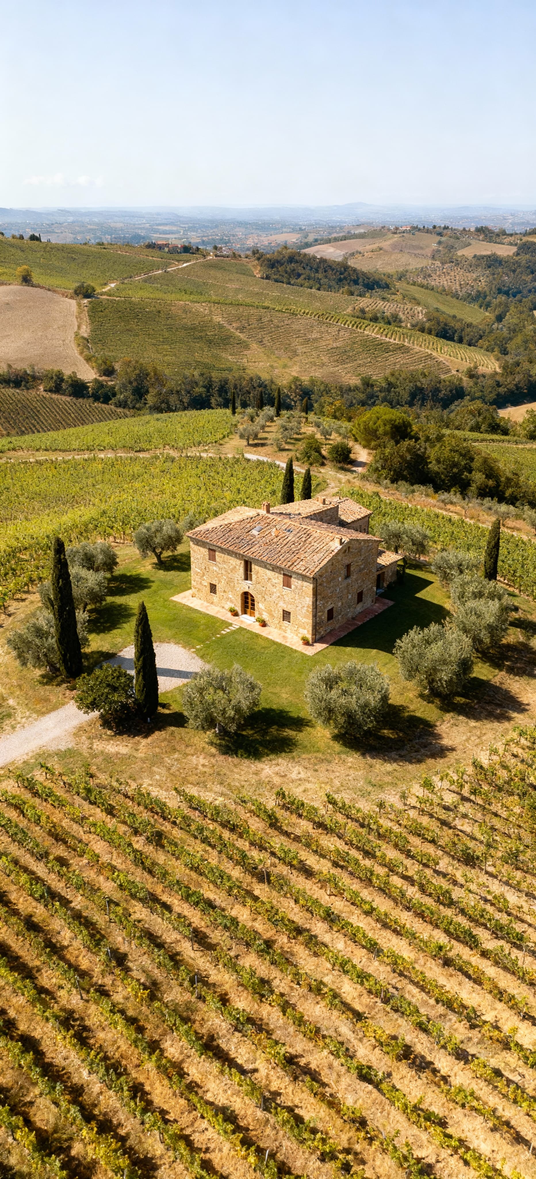 Charming Tuscan agriturismi for sale in Arezzo, surrounded by scenic hills, vineyards, and olive groves in a serene setting.