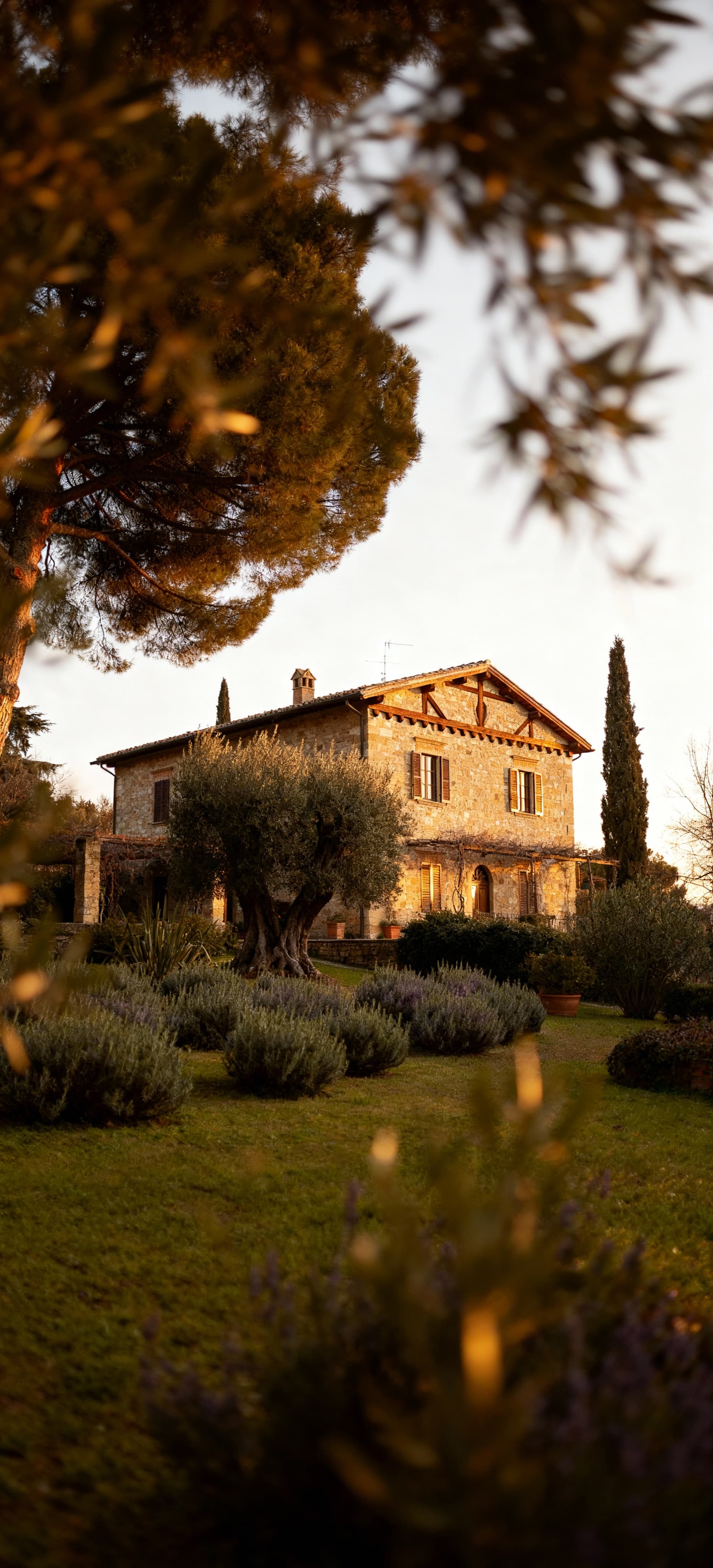 For sale: elegant apartments in Padua, Veneto, blending rich history with modern living amidst stunning landscapes.