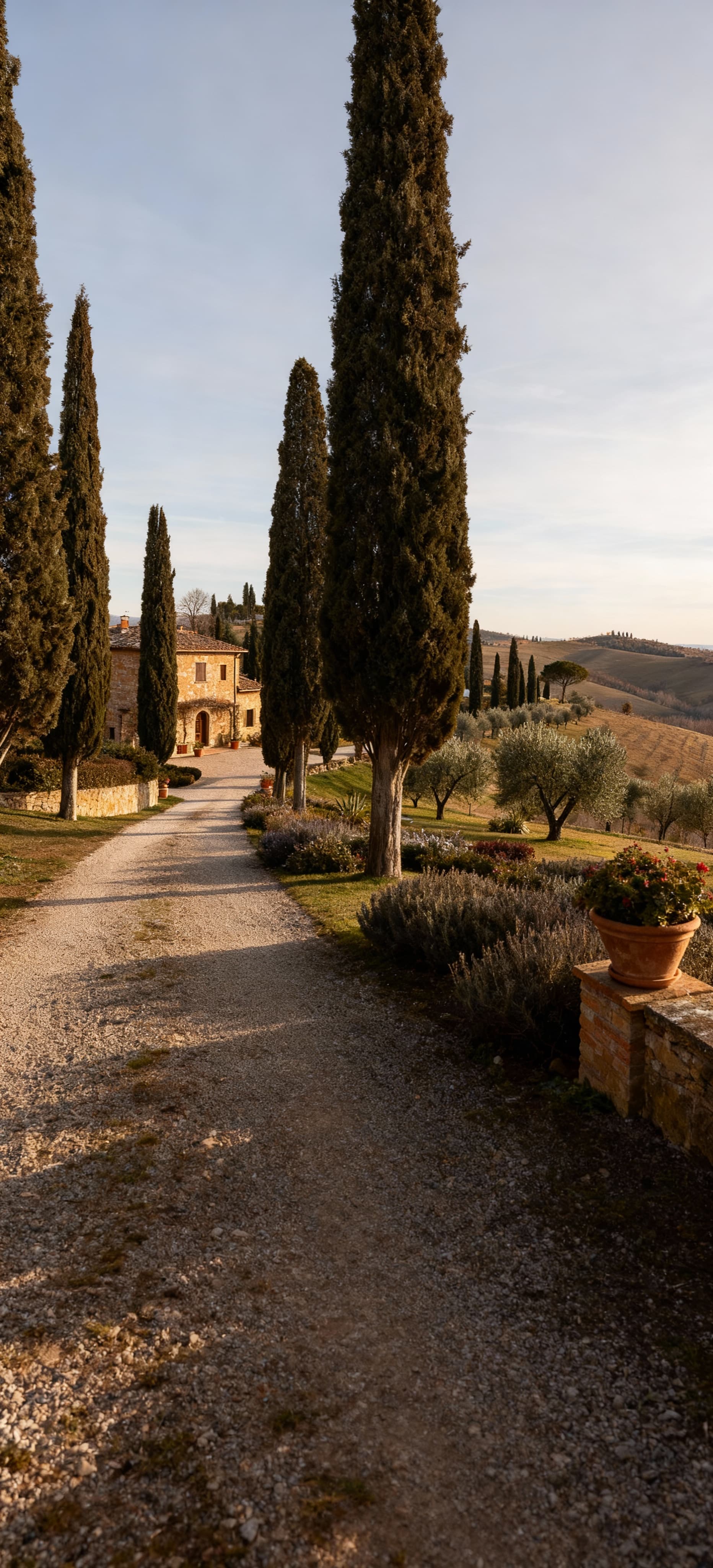 Charming Tuscan countryside agritourism properties for sale in Pisa, featuring breathtaking landscapes and rich cultural heritage.