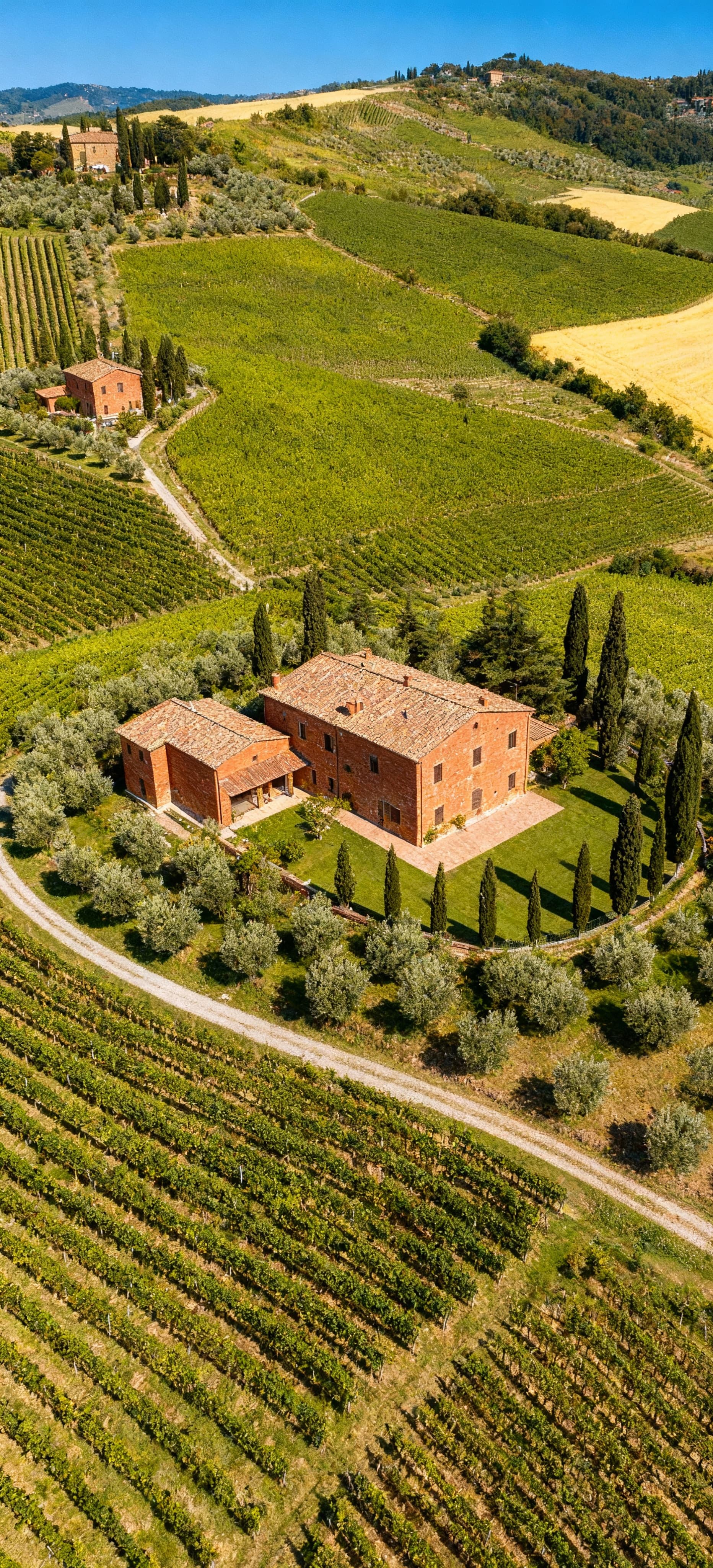 Scenic Tuscan landscapes in Chianti featuring vineyards, historic villas, and olive groves for sale, embodying traditional elegance.
