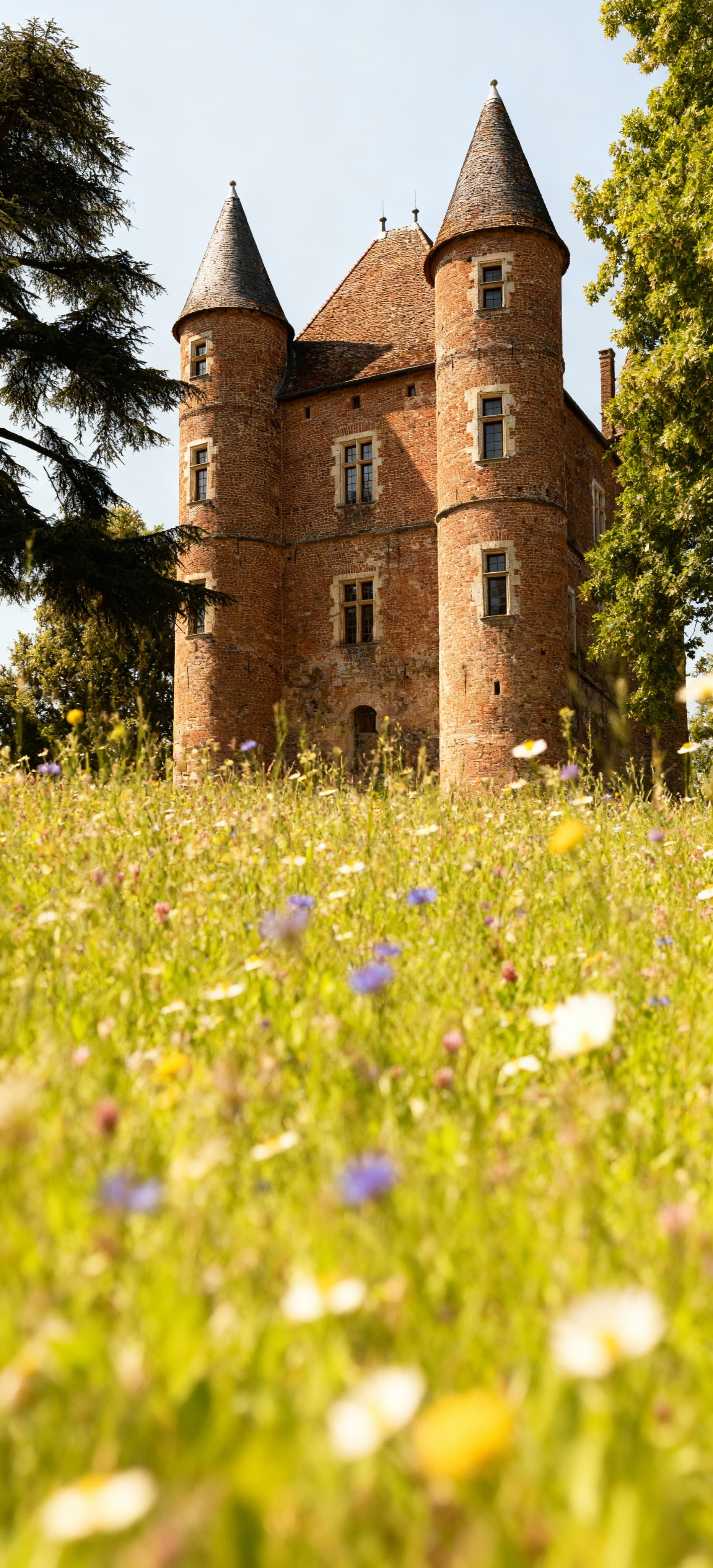 Stunning Italian countryside with historic castles for sale, surrounded by vineyards and breathtaking landscapes.