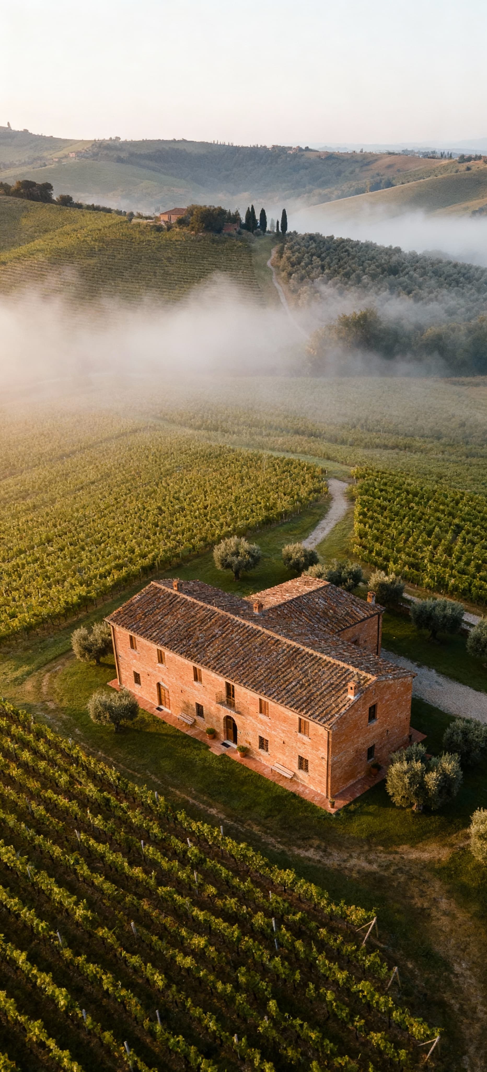 Stunning Tuscan landscape in Siena featuring historic hotels for sale amidst rolling hills and vineyards, ideal for investors.
