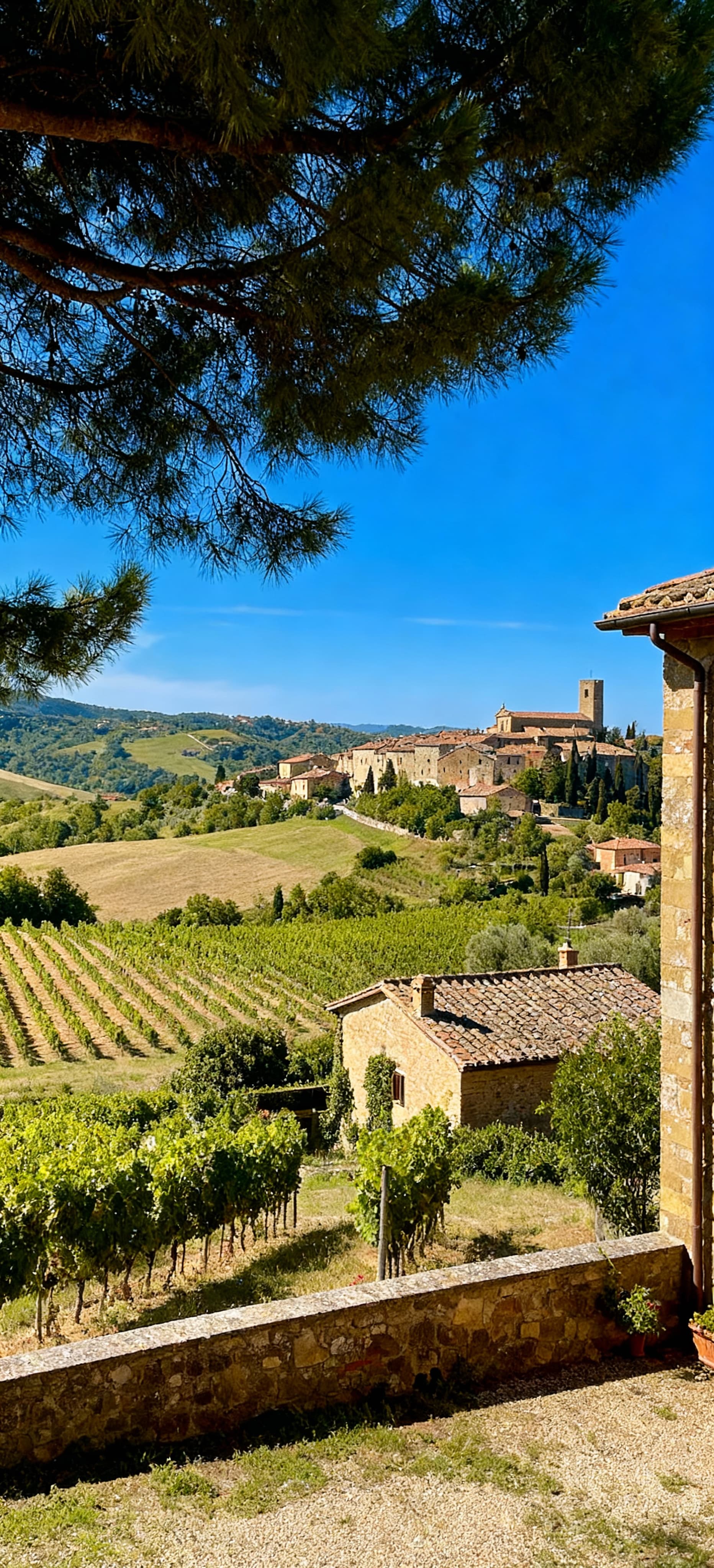 Charming hotels for sale in Umbria's Campagna, showcasing picturesque hills, vineyards, and historic villages.
