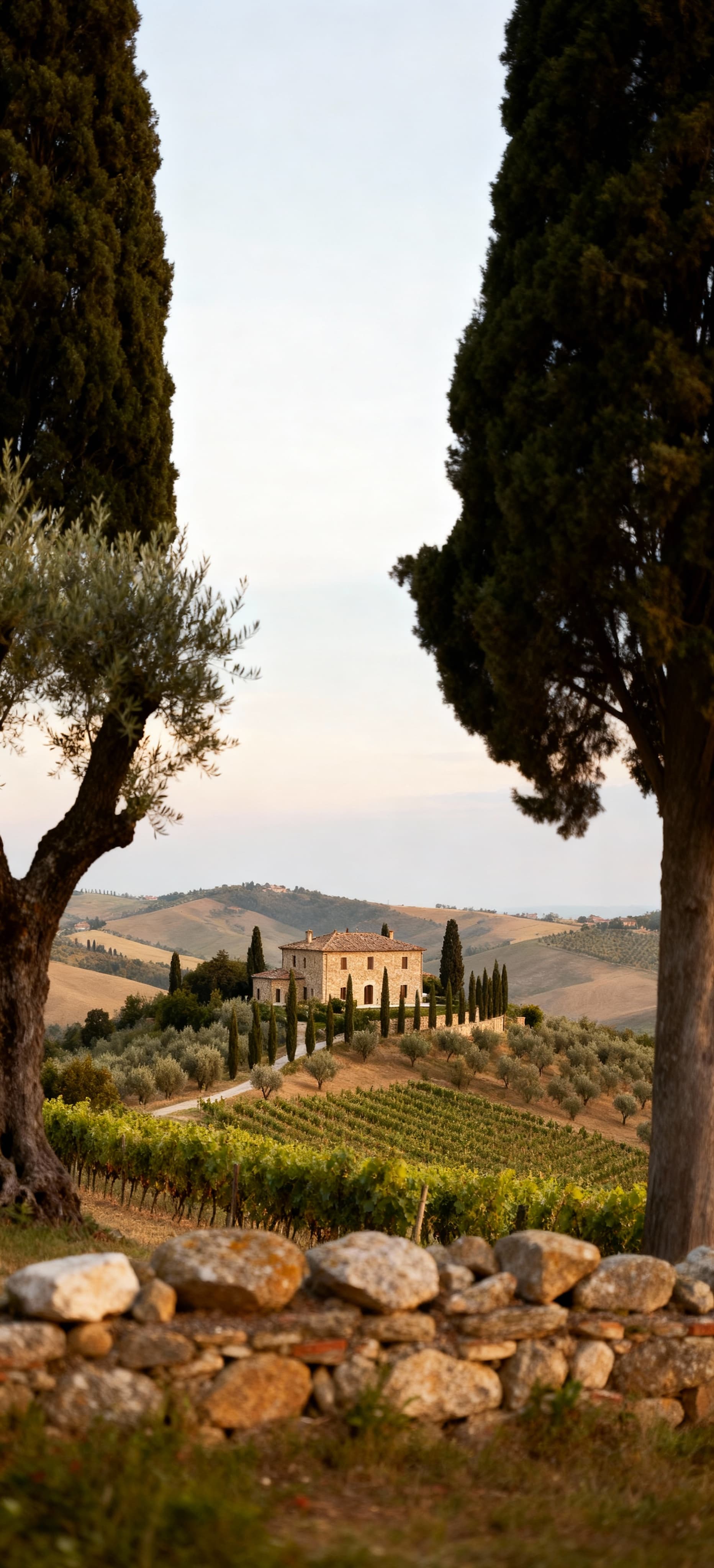 Elegant villas for sale in the picturesque countryside of Macerata, set against stunning hills and historic villages.