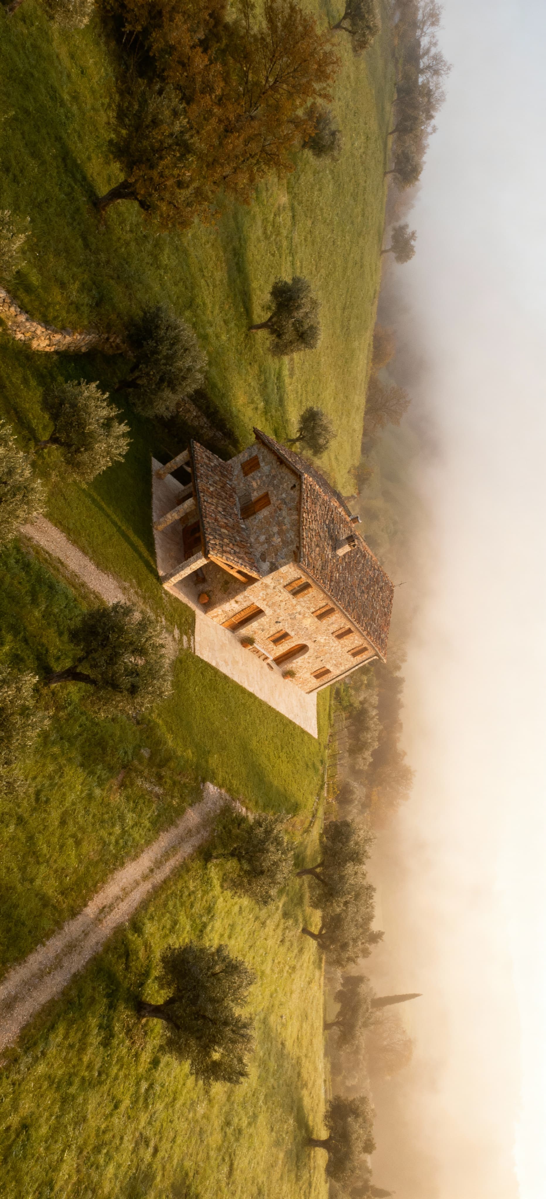 Elegant apartments for sale in the picturesque Campagna area of Rome, surrounded by ancient olive groves and stunning landscapes.