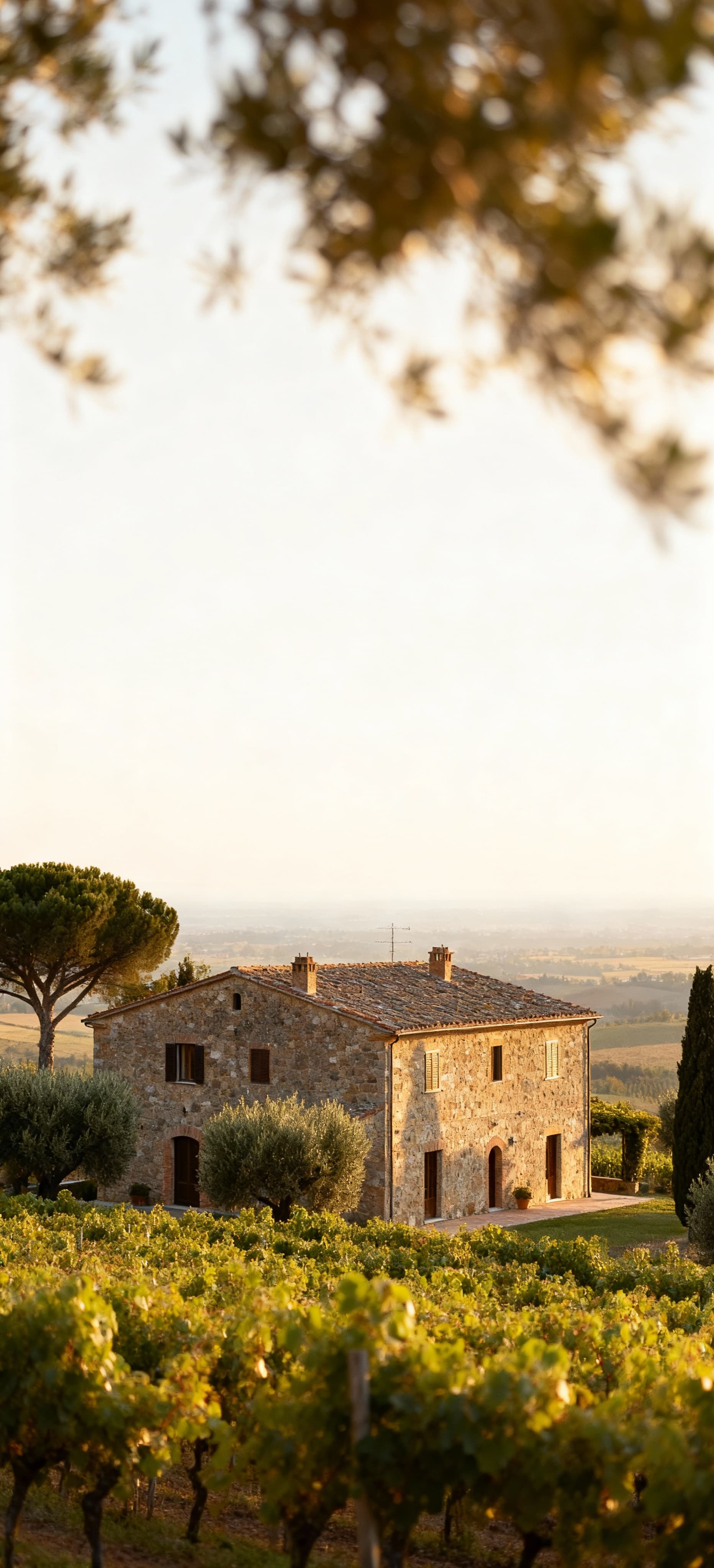 Charming agriturismi for sale in Massa-Carrara's countryside, featuring stunning landscapes and historic properties.