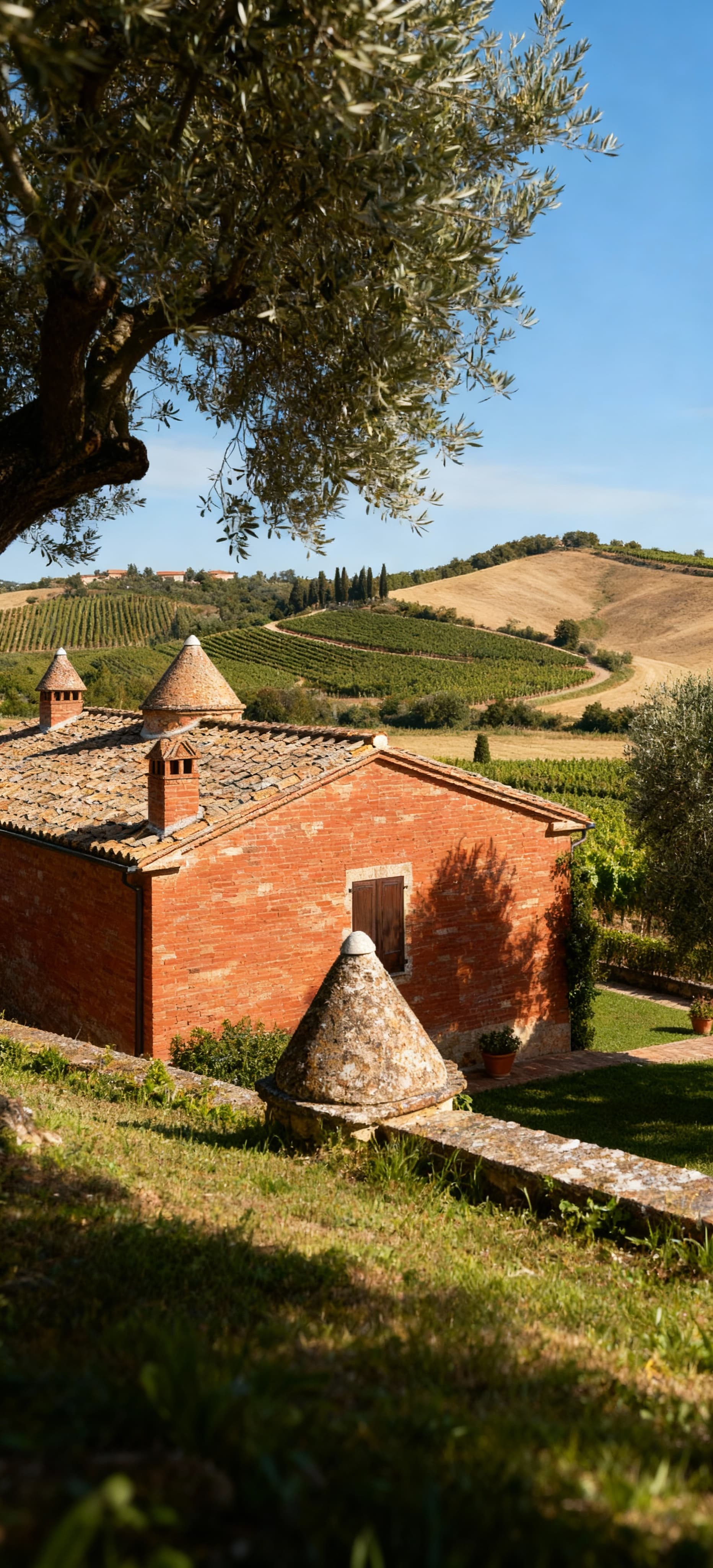 Charming rustic homes for sale in Fermo's countryside, featuring scenic hills, vineyards, and a peaceful lifestyle in Marche.