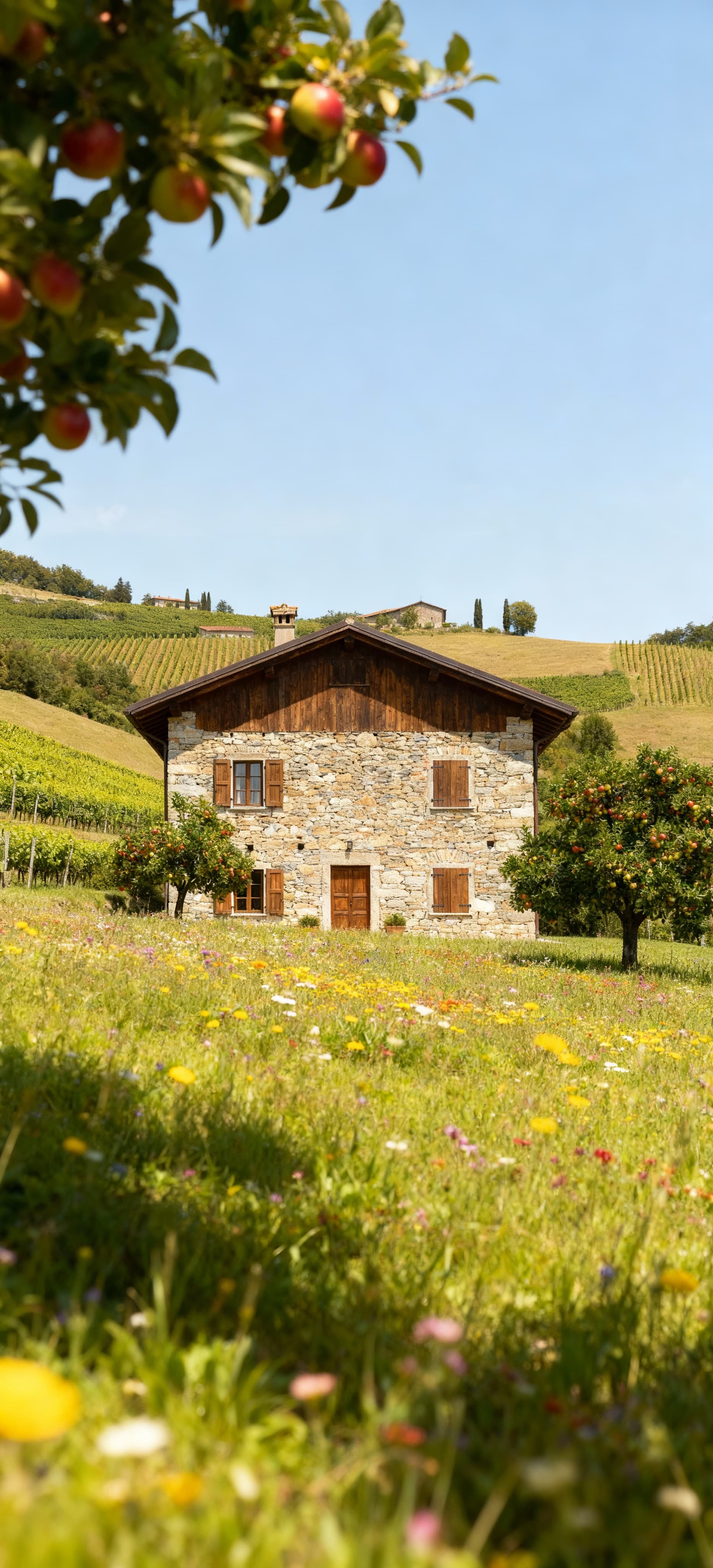Stunning countryside villas for sale in Molise, Italy, featuring exquisite landscapes and rich cultural heritage.