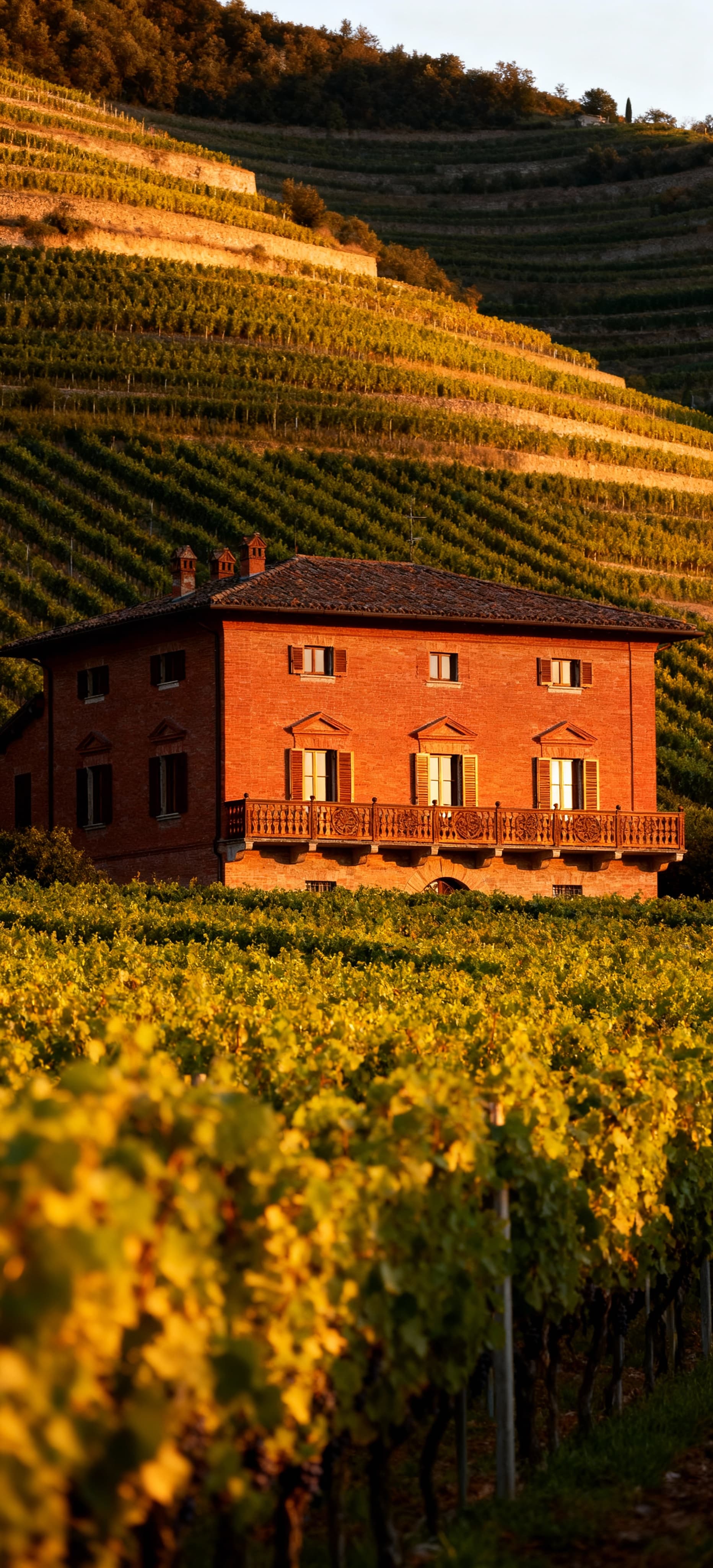 Luxury properties for sale in the serene countryside of Vicenza, Veneto, featuring elegant villas and scenic views.