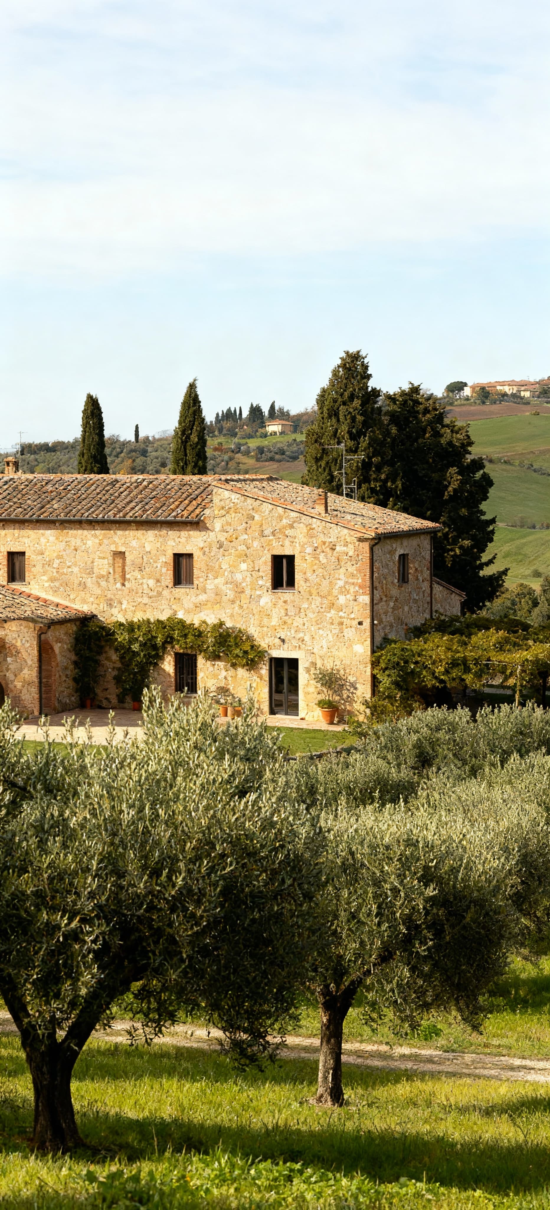 Tenuta agricola in vendita nelle Marche, con casale in pietra e uliveti, immersa in un paesaggio sereno e naturale.