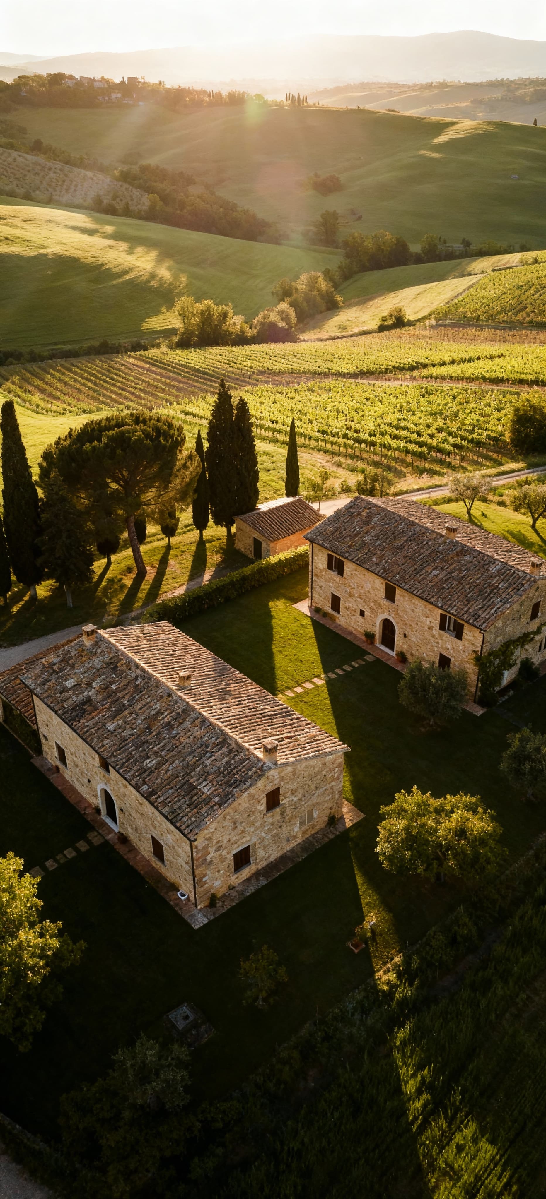 Agricultural estates for sale in Perugia, surrounded by lush green hills, perfect for gastronomic investment.