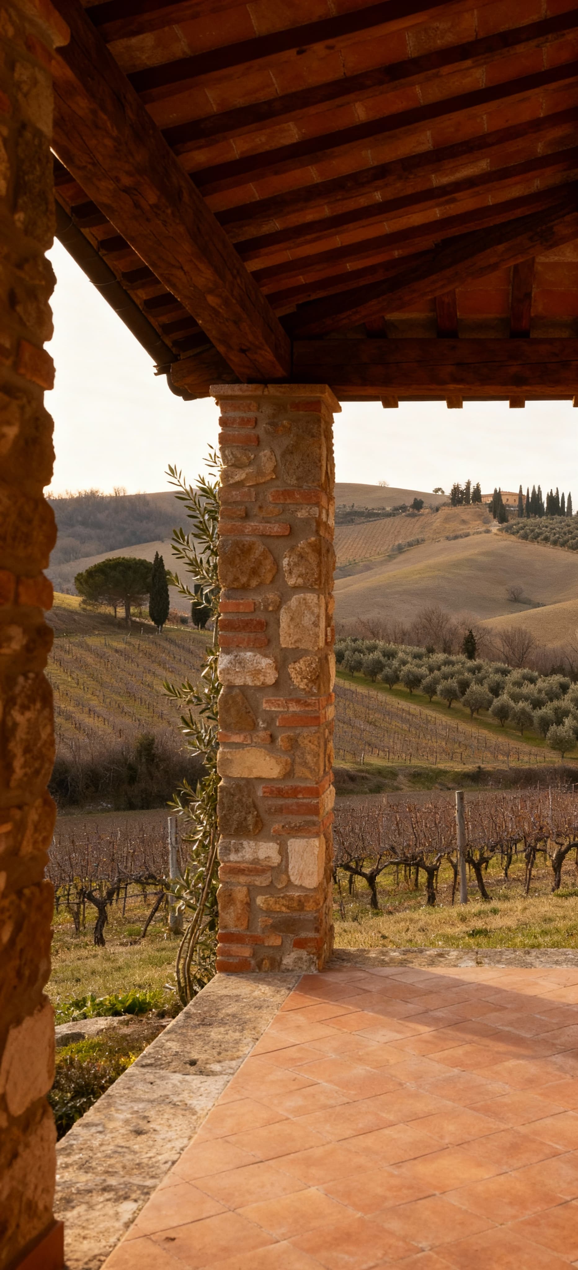 Rustic farmhouses for sale in Siena, showcasing Tuscany's charm with stunning views of vineyards and olive groves.