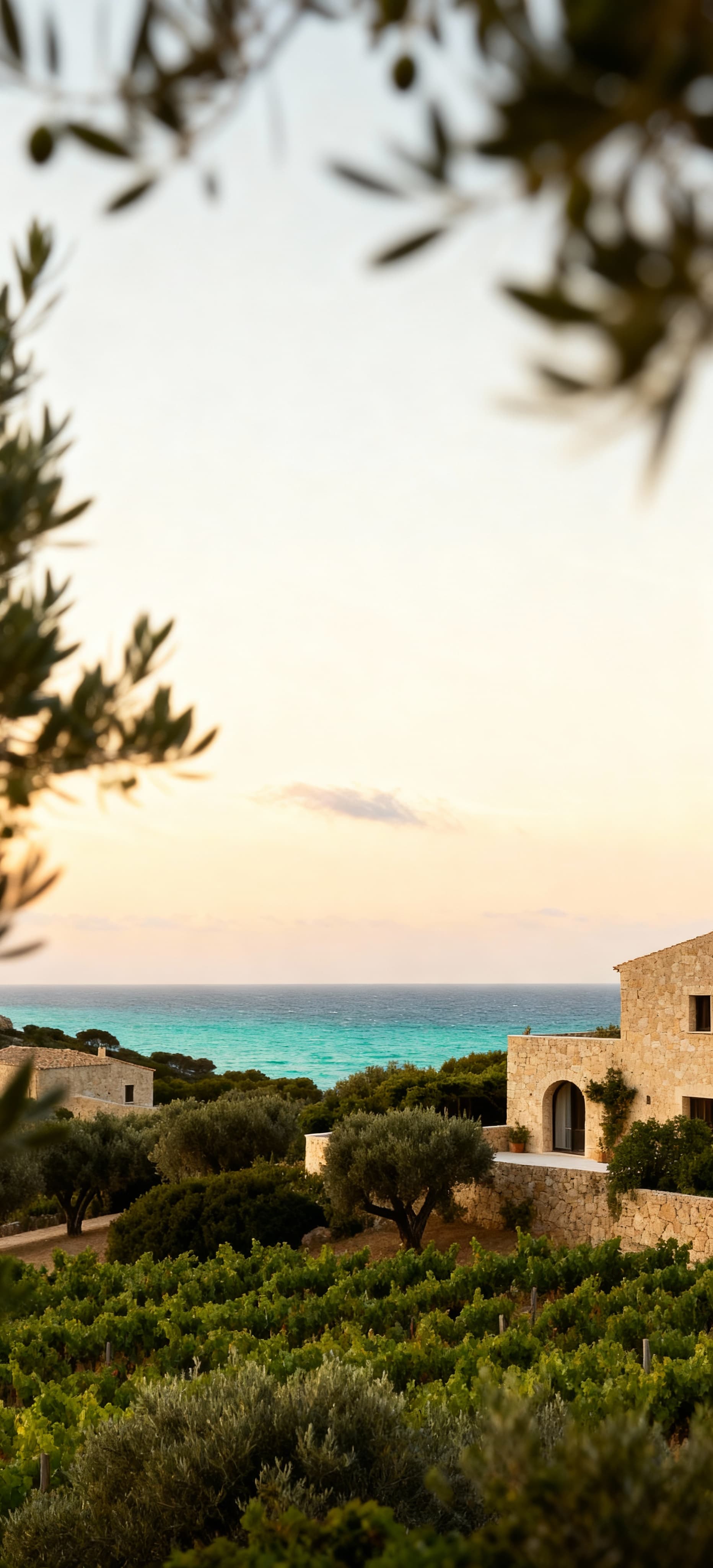 Rustic farmhouses for sale in Porto Cervo, Costa Smeralda, surrounded by vineyards, olive groves, and stunning coastline.