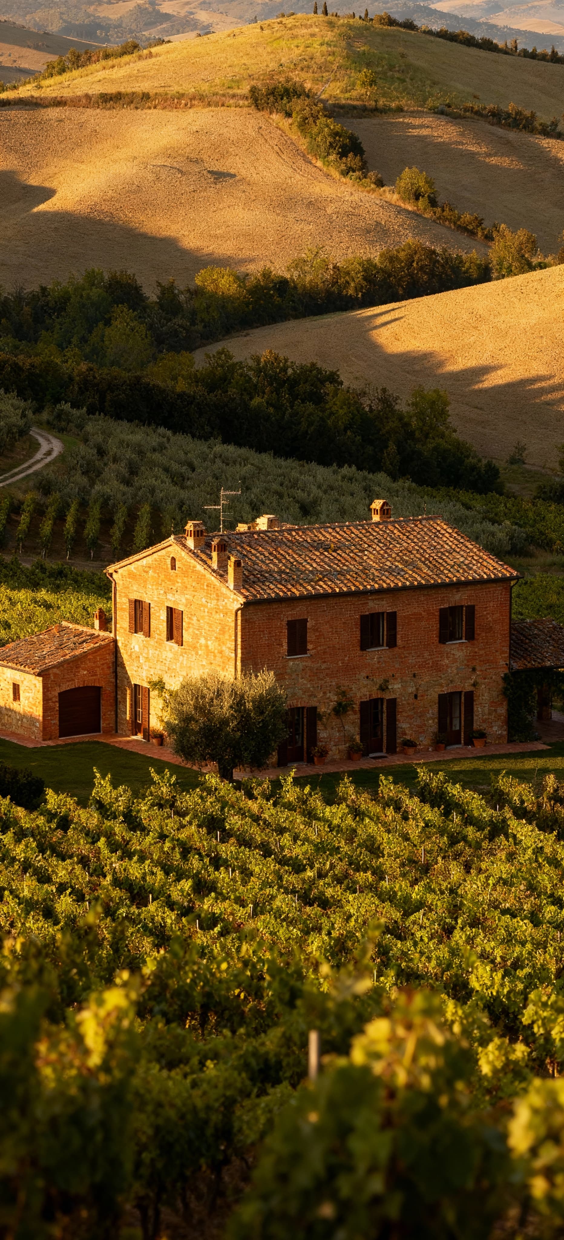 Charming agritourism properties for sale in Florence, offering a blend of hospitality, tradition, and stunning Tuscan landscapes.