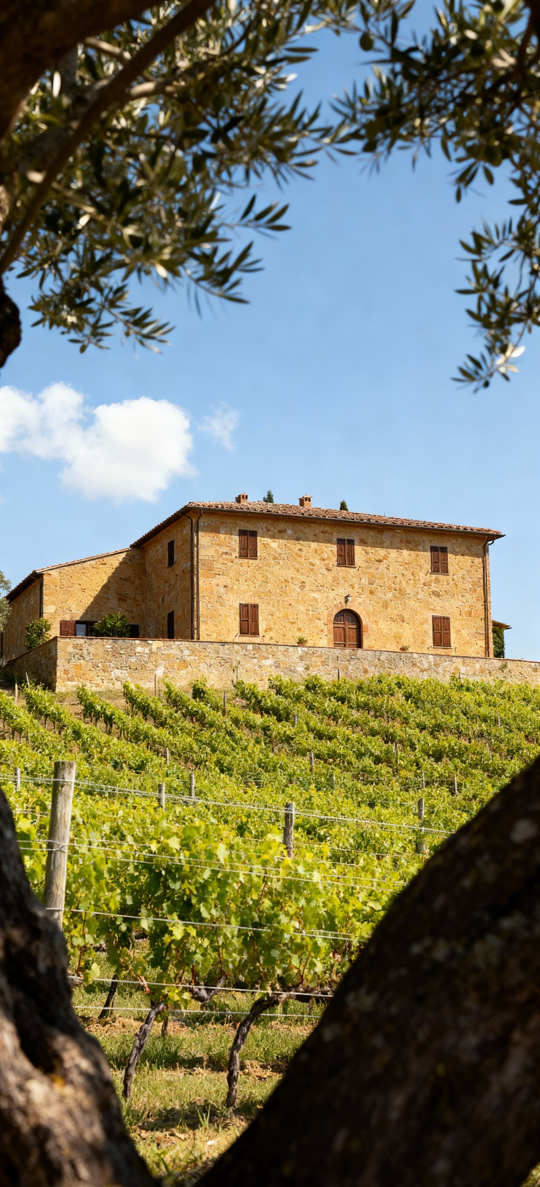 Elegant estates and properties for sale in Florence, offering premium residential and agricultural opportunities for exclusive projects.