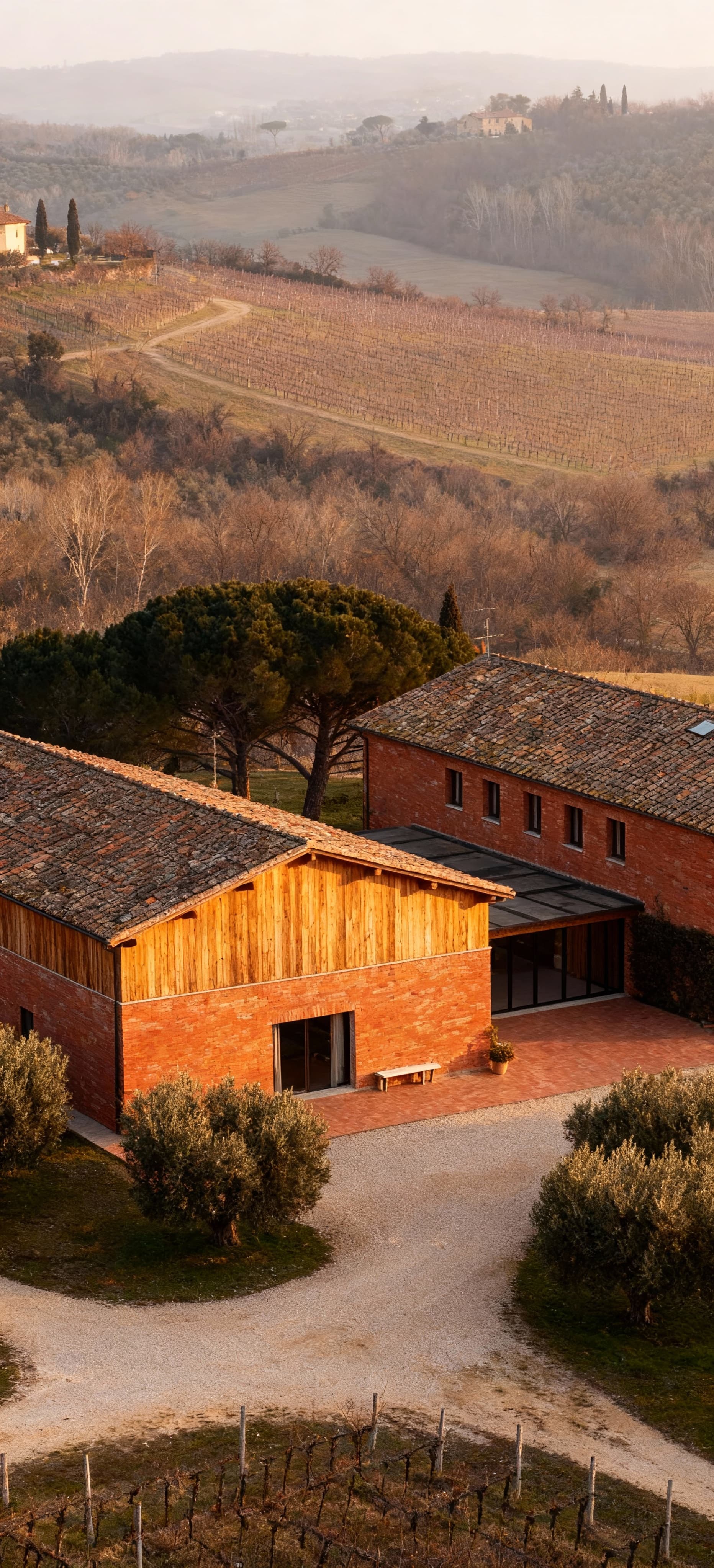 Rural farms for sale in Umbria, surrounded by lush greenery, ideal for agritourism and wine or olive oil production.