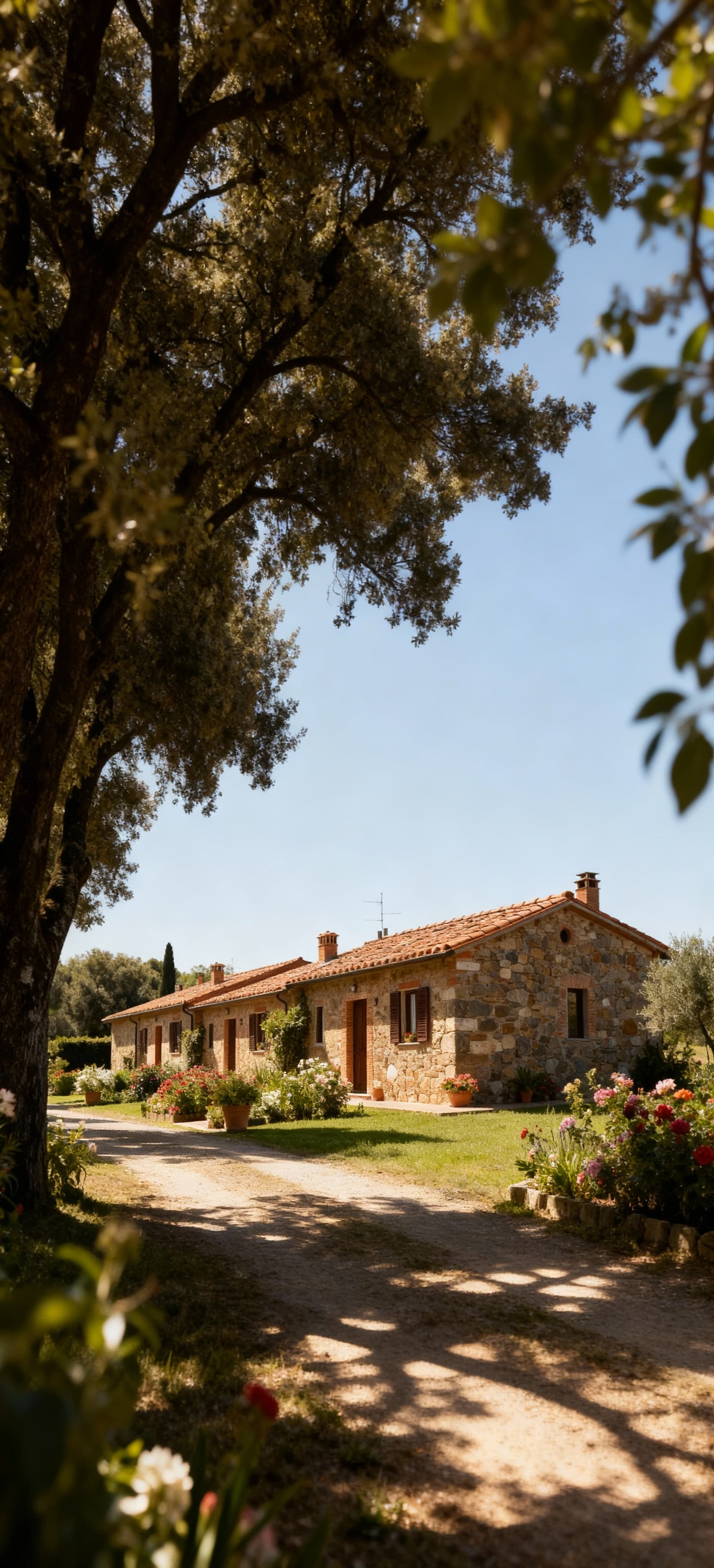 Terraced houses for sale in Elba Island, Tuscany, featuring stunning coastal views and rich historical architecture.