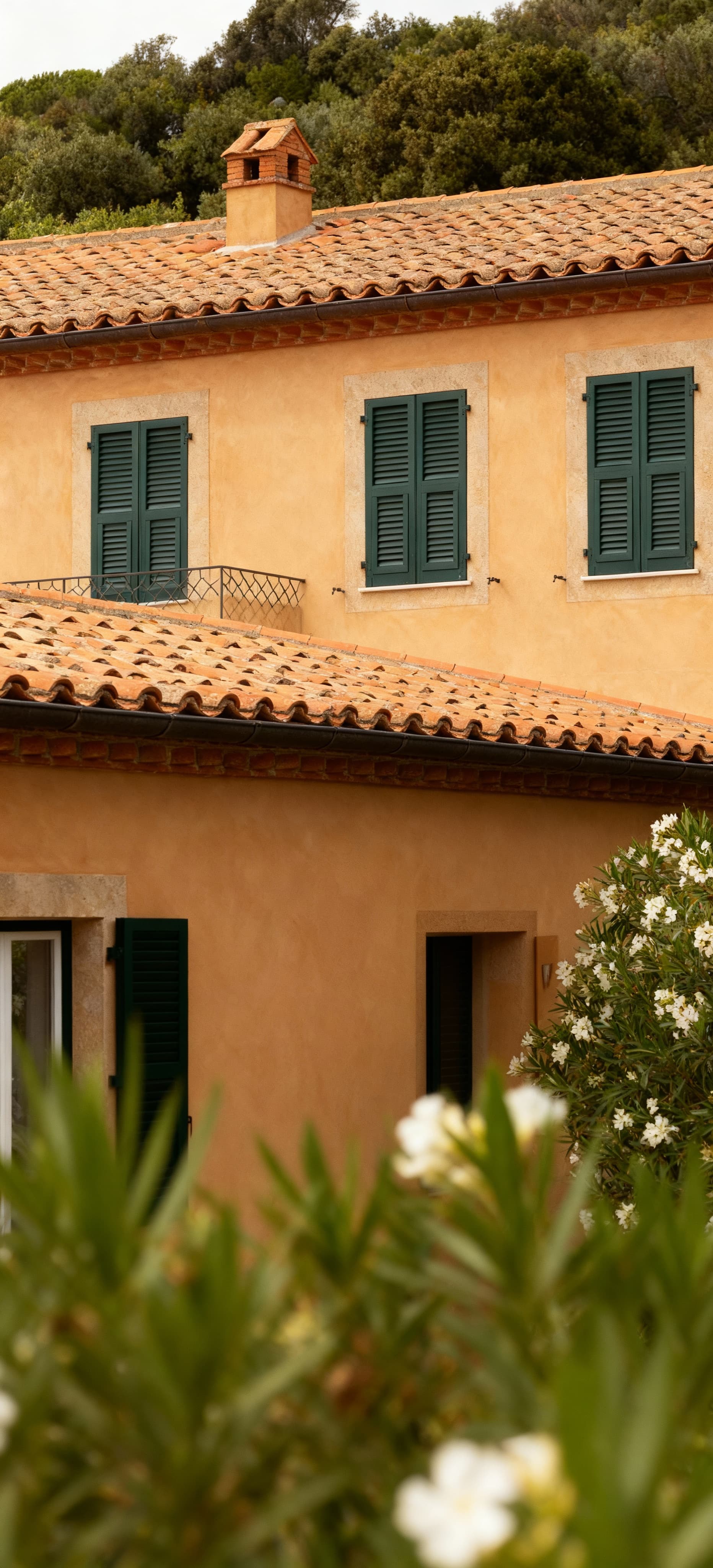 Elegant villa apartments for sale in the lush countryside of Elba Island, perfect for stylish rural living.