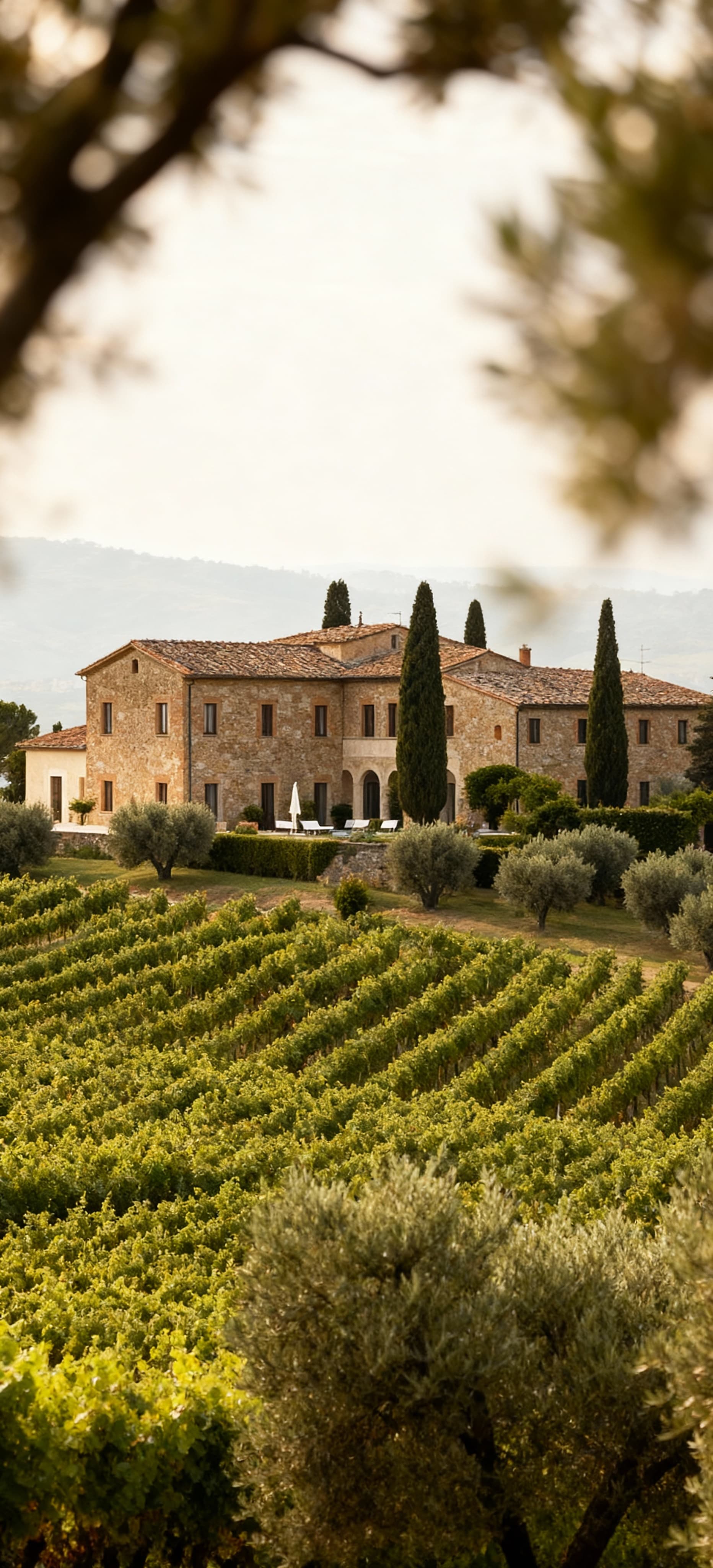 Hotels for sale in the countryside of Pisa, featuring vineyards, olive groves, and wellness centers for rural tourism investment.