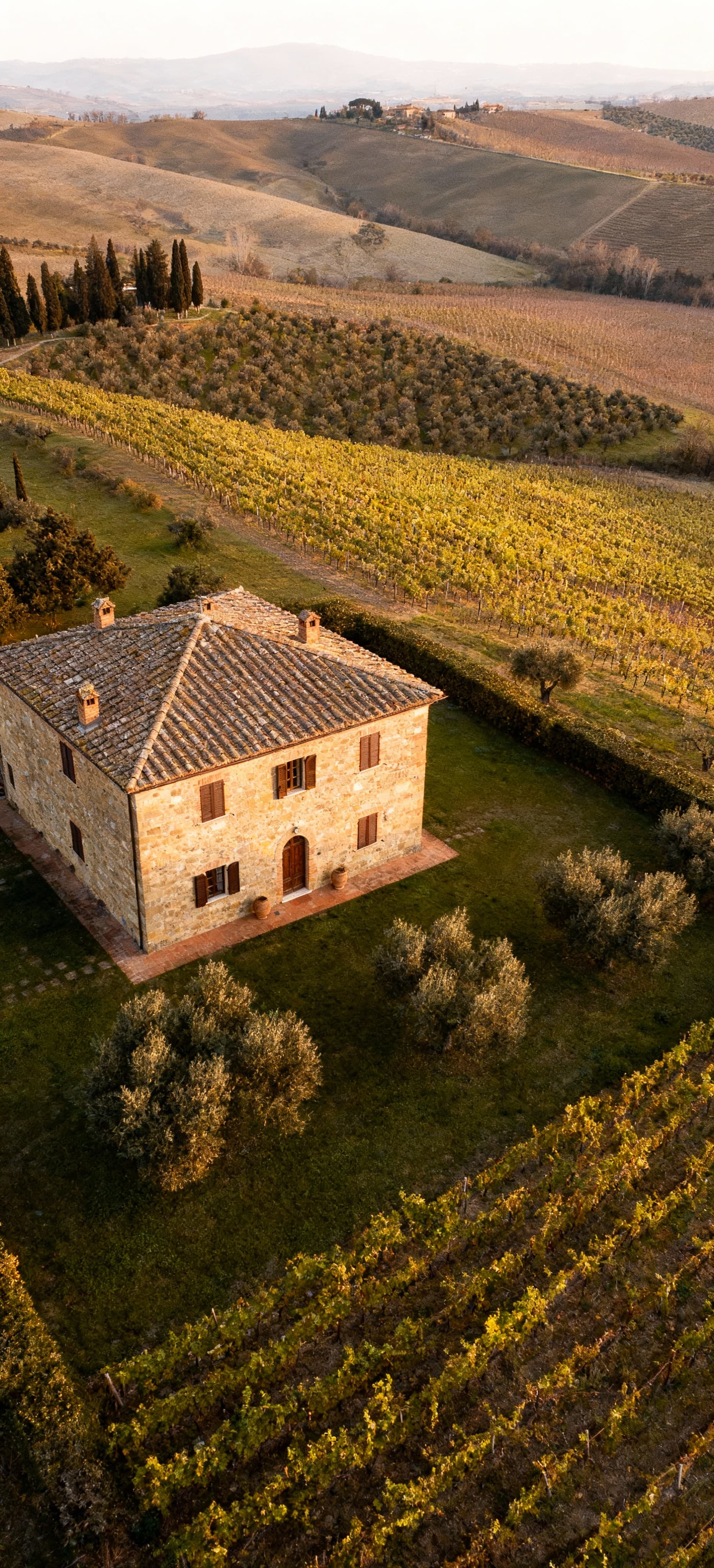 Rustic homes for sale in Val d'Orcia, Tuscany, featuring stunning landscapes and rich cultural heritage.