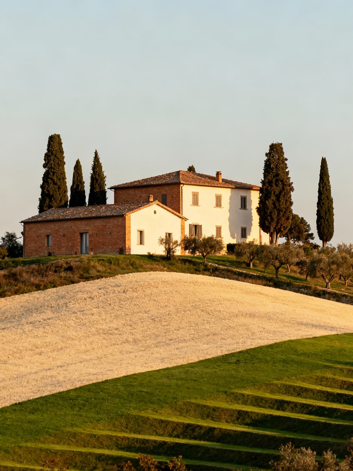 Independent houses in the idyllic Tuscan Val d'Orcia, surrounded by ancient cypress trees, bathed in warm afternoon light.