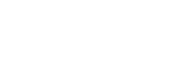 Polis Real Estate Srl