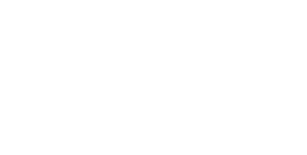 Arrigo Brandini Real Estate