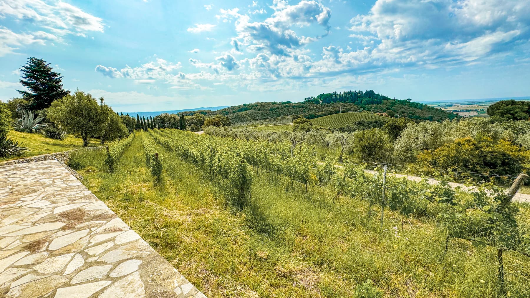 Casale ristrutturato con vista mare a Campiglia Marittima
