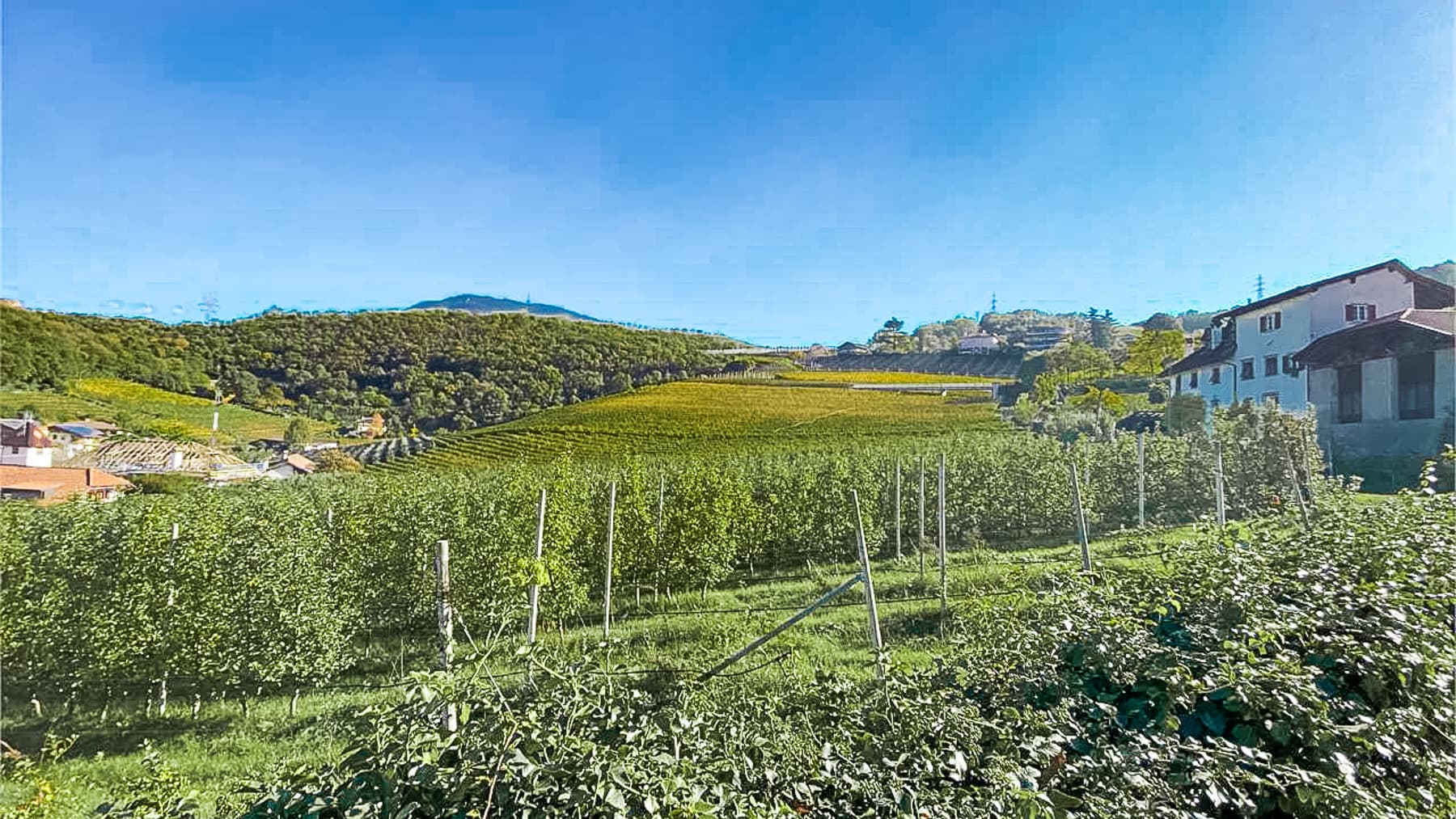 Appartamento su tre livelli a Frangarto, Appiano