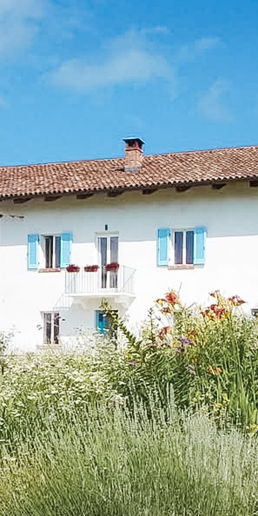 Casale panoramico con piscina tra i vigneti di Belveglio