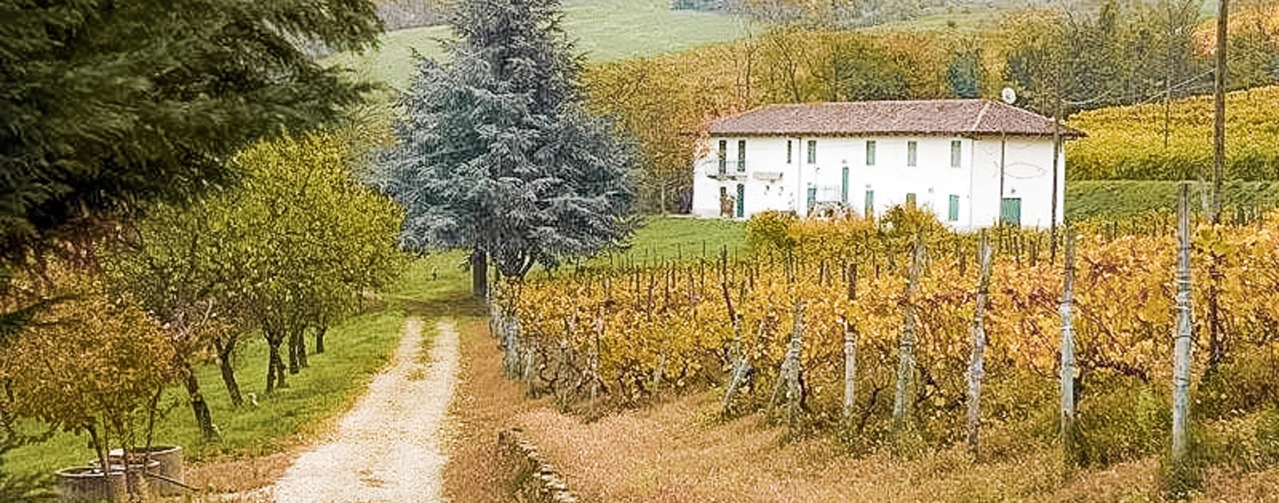 Casale panoramico a Santo Stefano Belbo, zona UNESCO