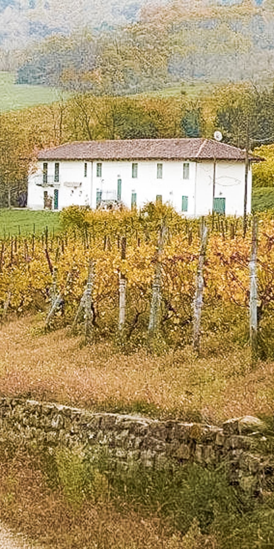 Casale panoramico a Santo Stefano Belbo, zona UNESCO