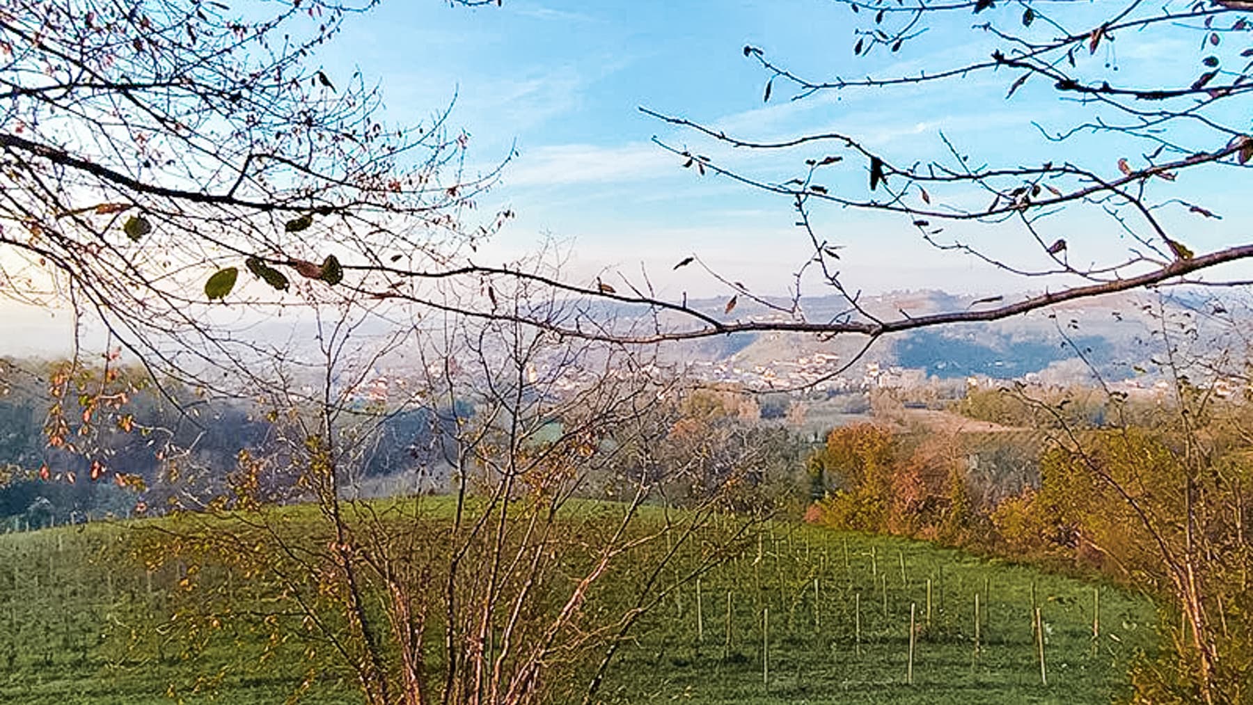 Casale esclusivo nelle Langhe, Dogliani, con vigneto e piscina