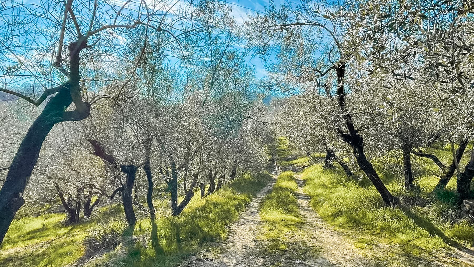 Charming Villa in Lastra a Signa, Tuscany