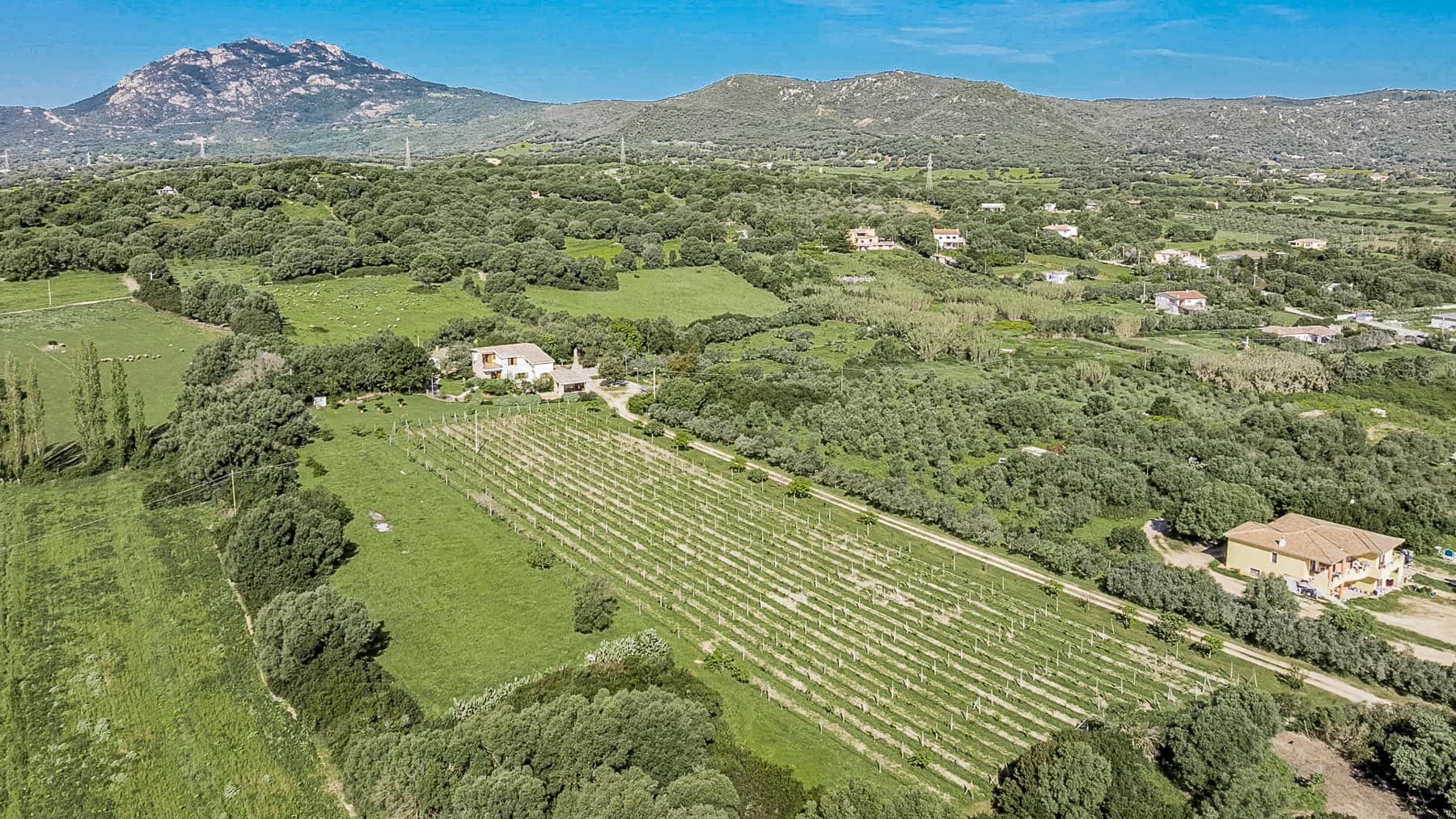 Villa sarda con ampio terreno a Olbia, Sardegna