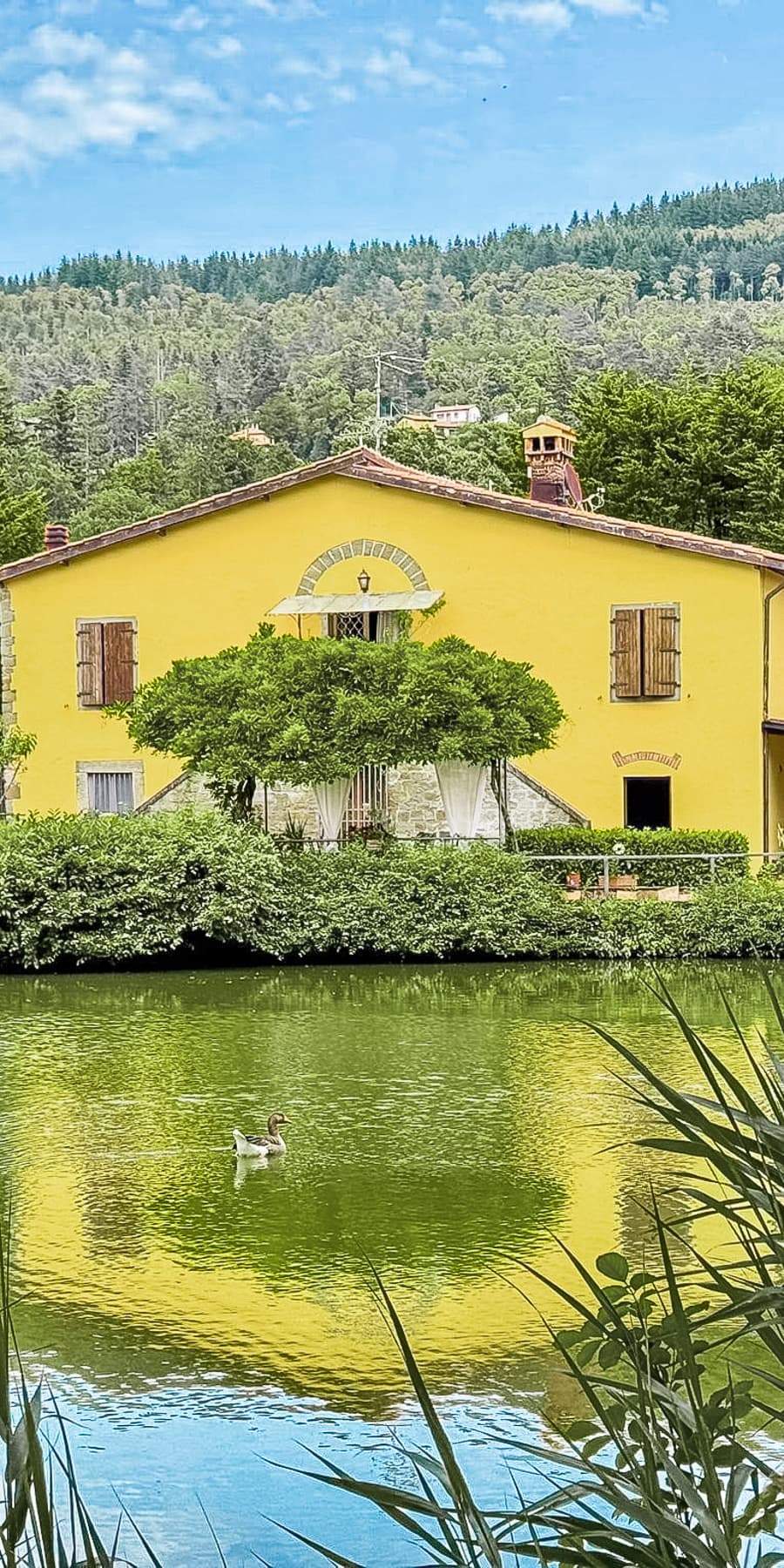 Casa semindipendente nel verde di Vaglia, Toscana