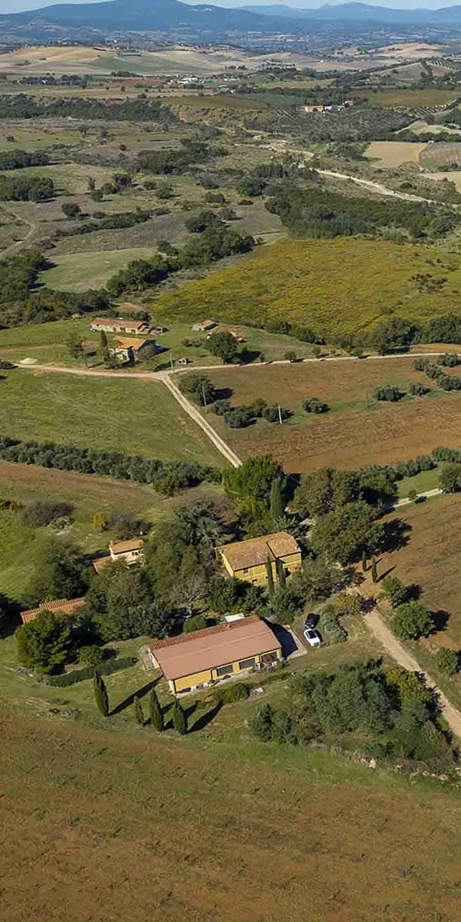 Azienda Agricola a Scansano nel cuore della Toscana