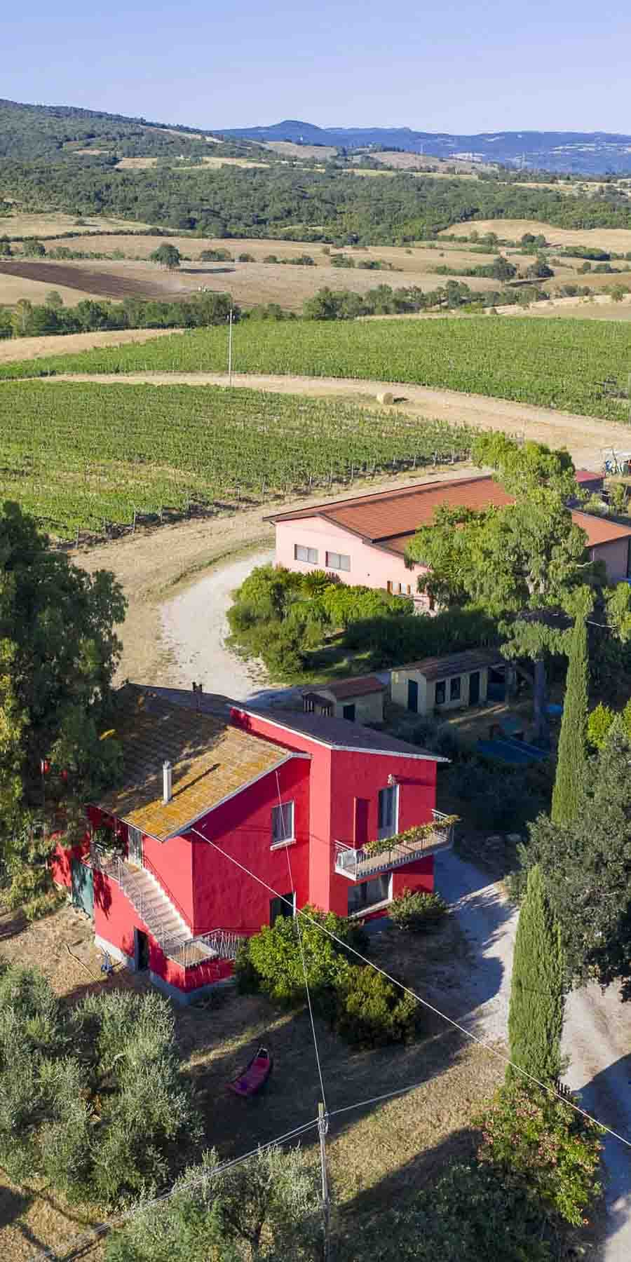Appartamento con azienda vinicola a Scansano, Toscana