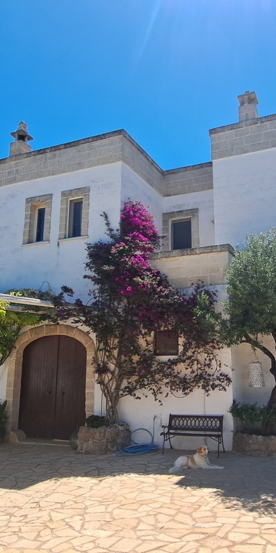 Charming Masseria in Fasano, Puglia's Scenic Countryside