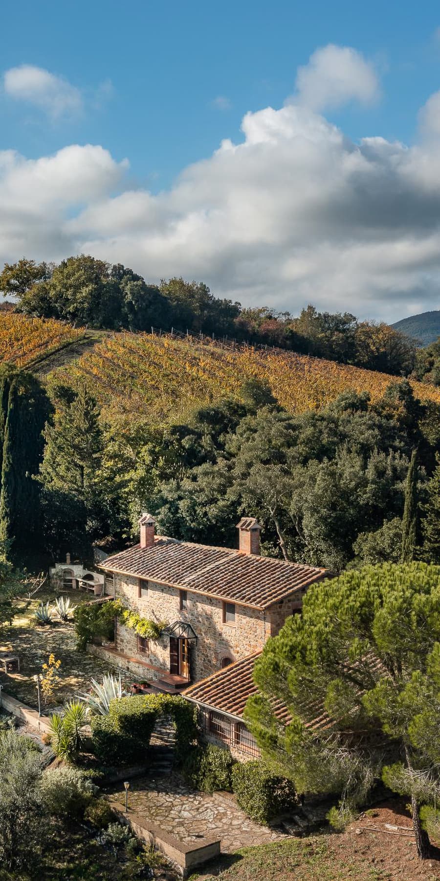 Casale in Toscana: charme tra colline e uliveti a Suvereto