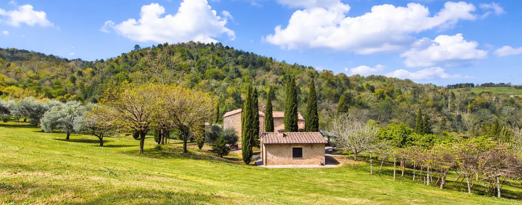 Rustic Country House with Pool in Chianni, Tuscany