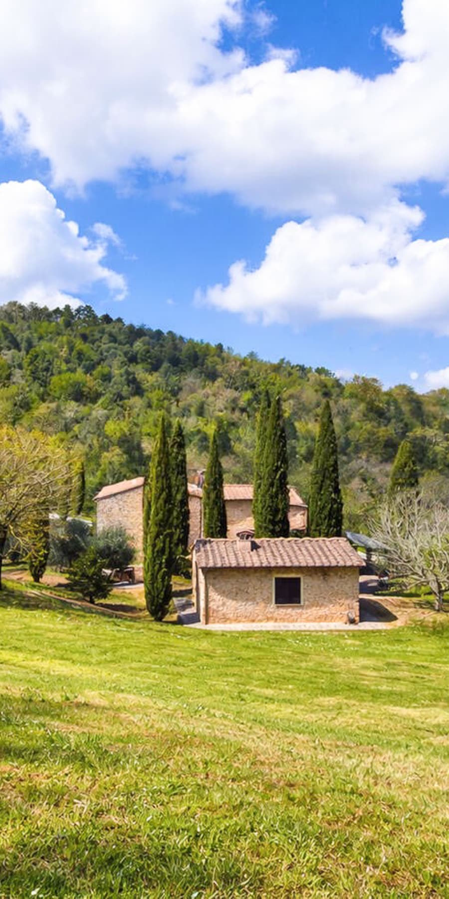 Rustic Country House with Pool in Chianni, Tuscany