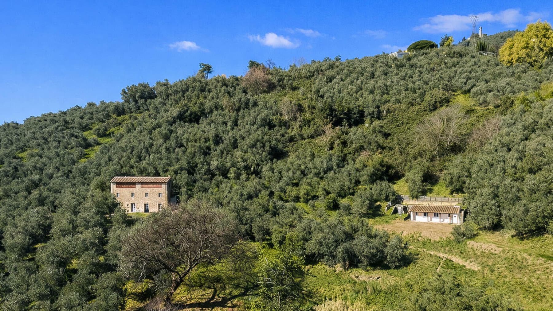 Casale storico a Camaiore, cuore della Toscana