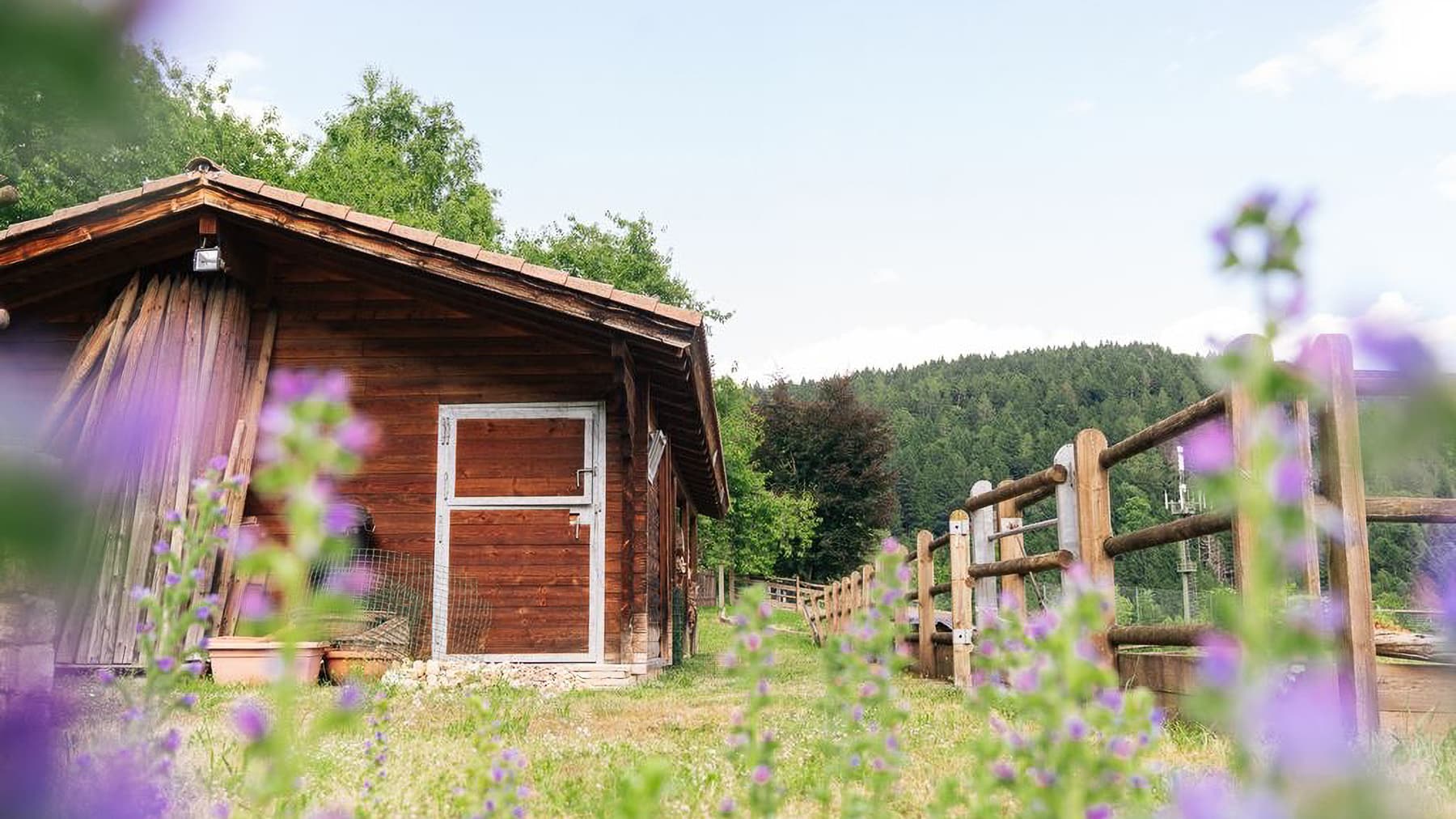 Villa di lusso a Vigolo Vattaro, Trentino