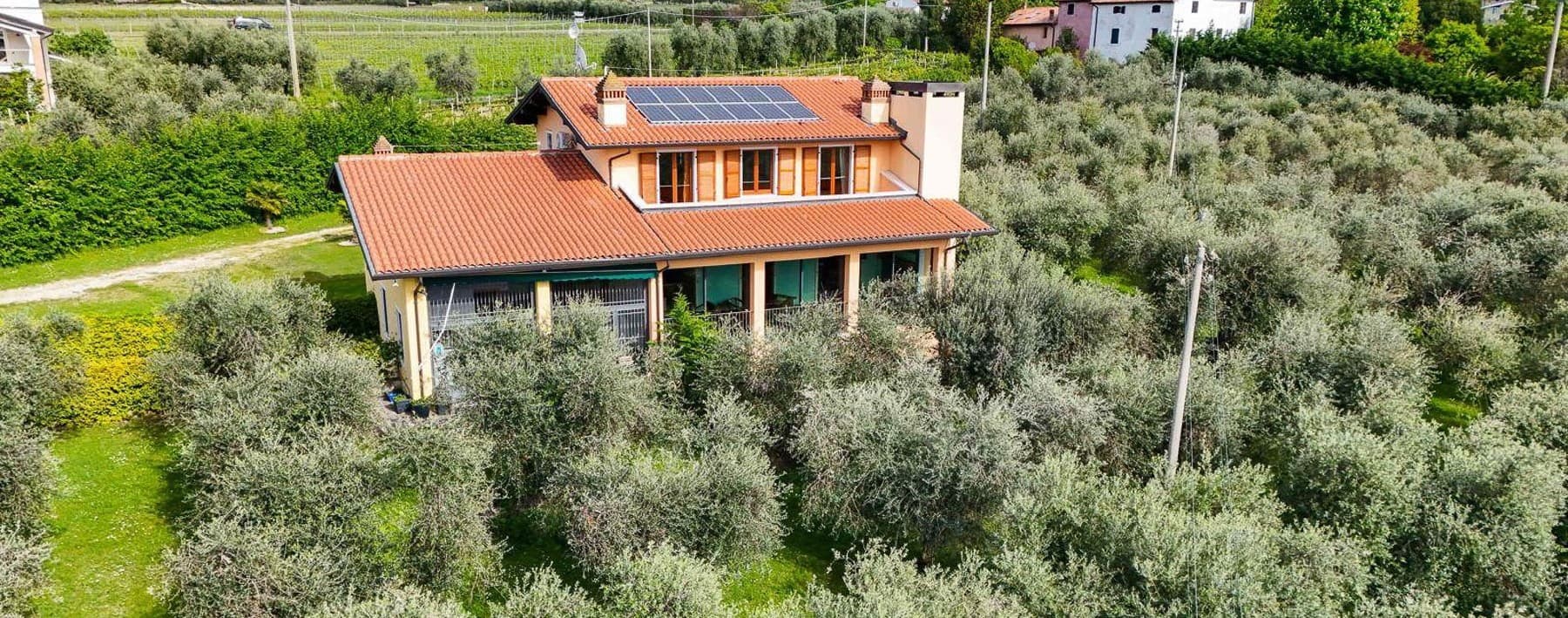 Villa immersa tra ulivi al Lago di Garda, Bardolino