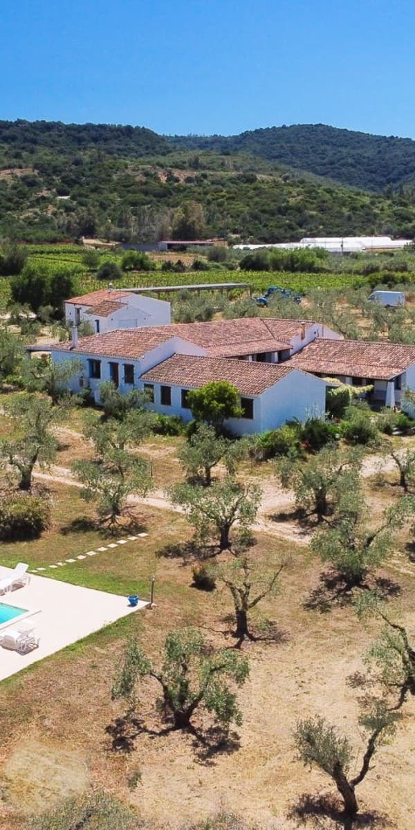 Rustic Country House in Galtellì, Sardinia
