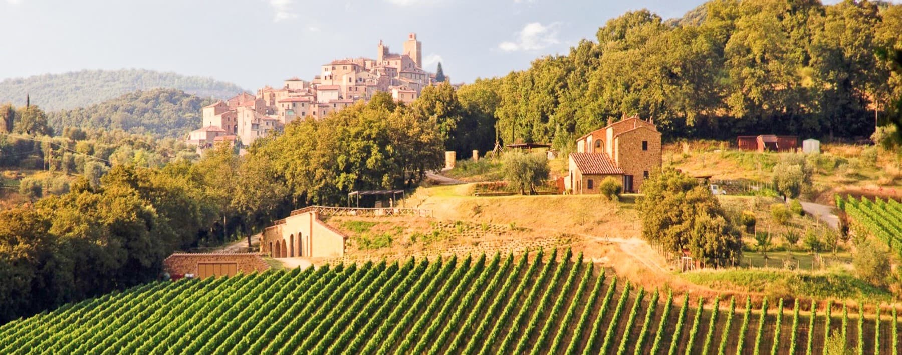 Azienda Agricola a Trequanda, nel cuore della Toscana