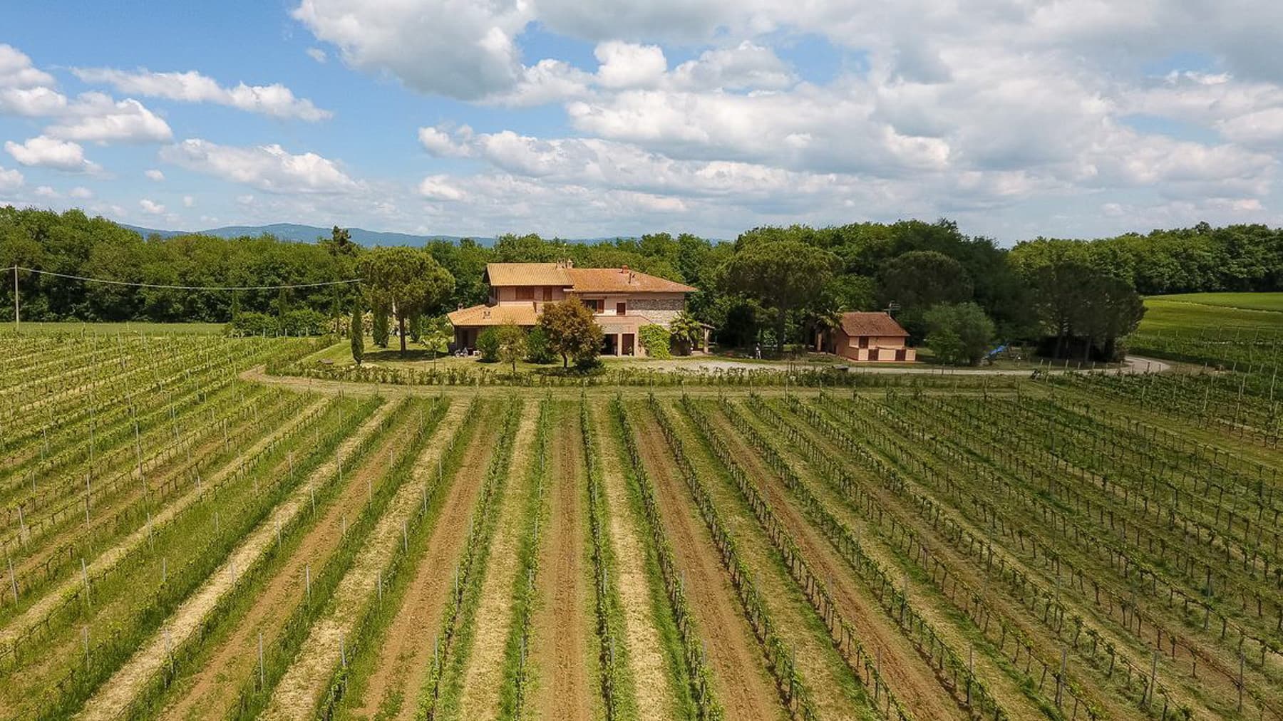 Azienda Agricola a Castiglione del Lago, Umbria