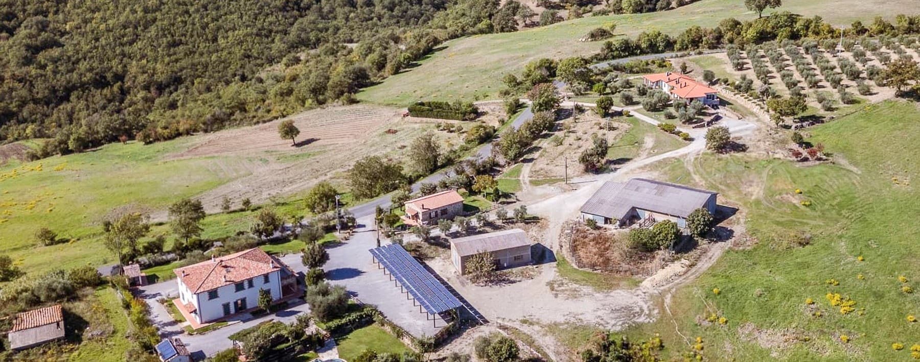 Charming Agritourism in Scenic Tuscany, Scansano