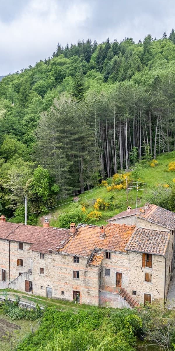 Casale indipendente nel cuore del Casentino, Toscana